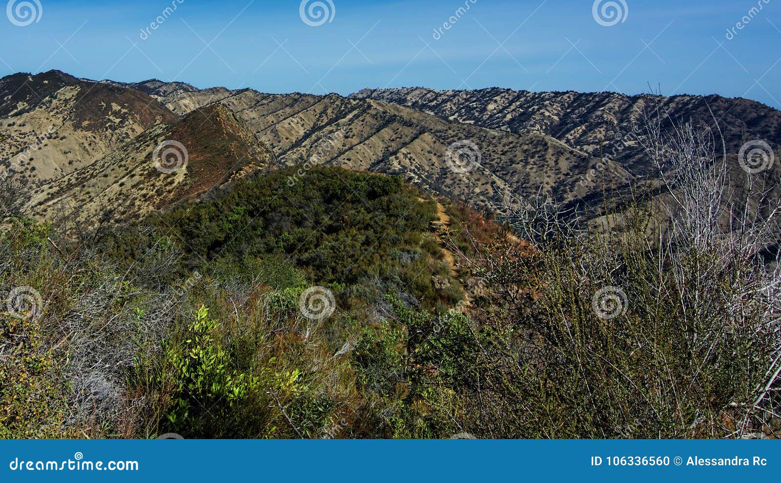The Blue Ridge Trail, Stebbins Cold Canyon Stock Photo Image of goals