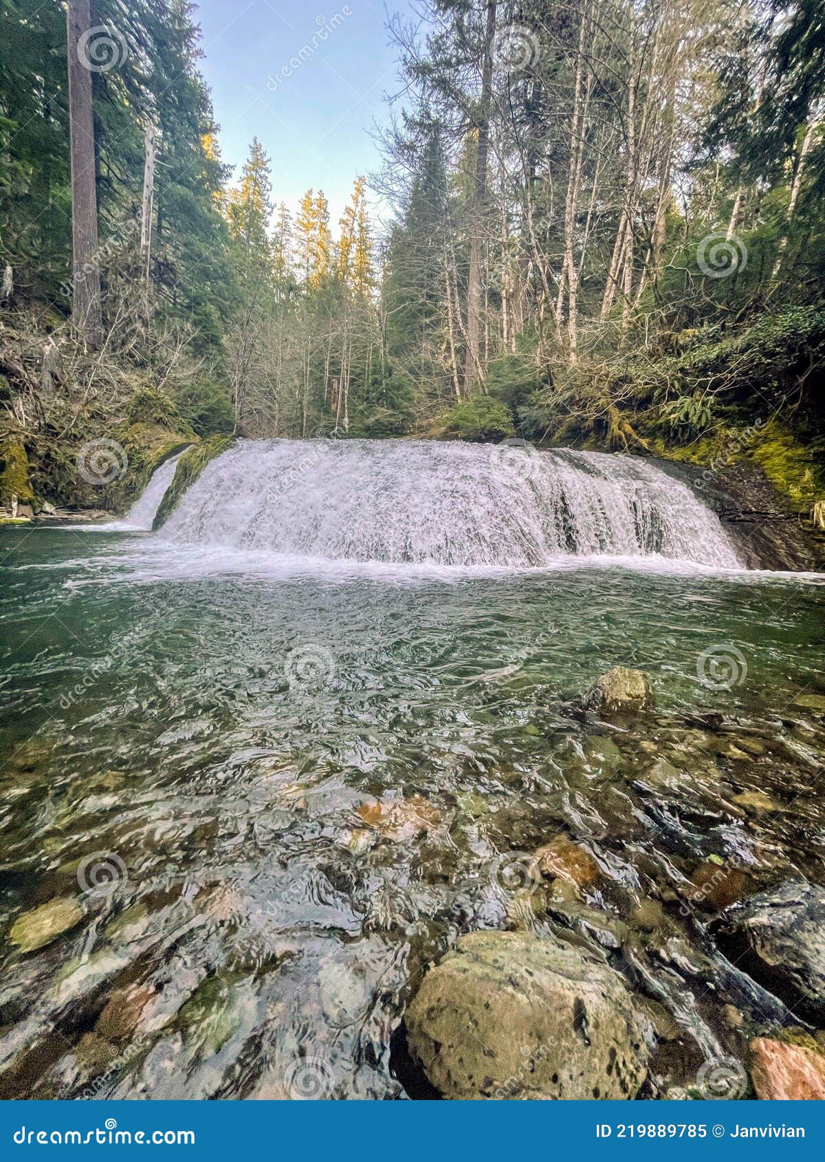 Blue River Oregon stock image. Image of landscape, creek 219889785