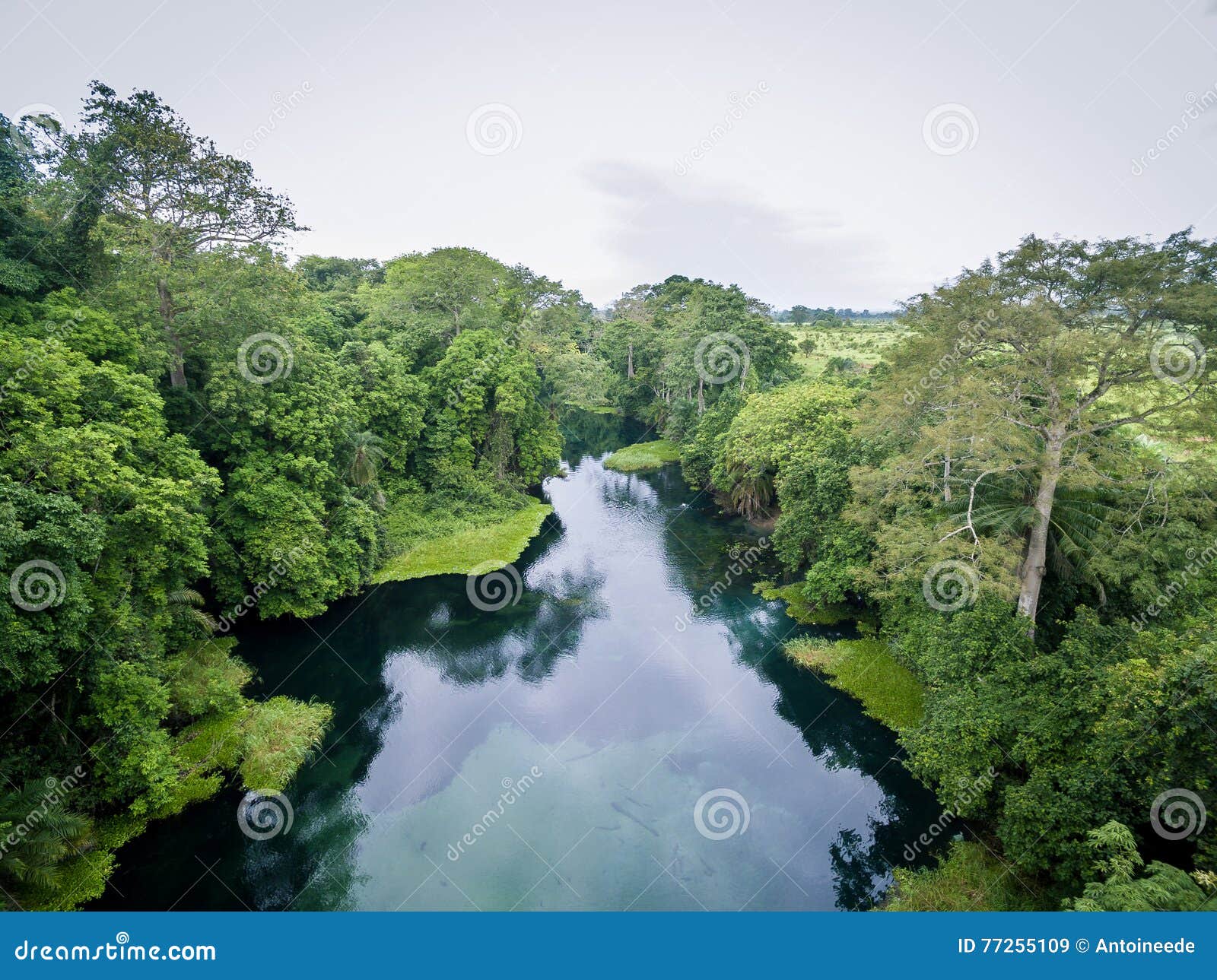 blue river / tulu river / niari river, congo.