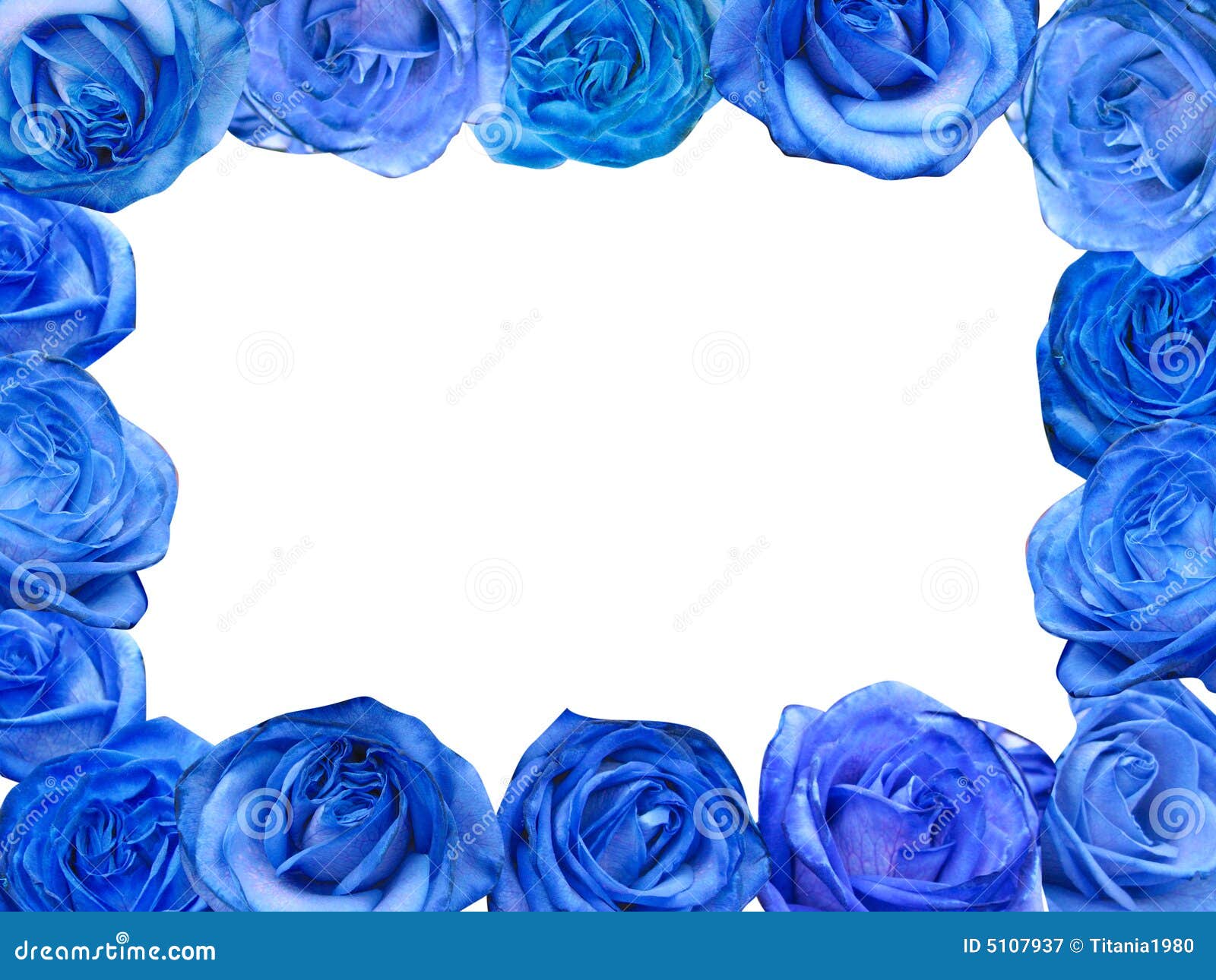 Blue Roses Frame Royalty Free Stock Photography - Image: 5107937