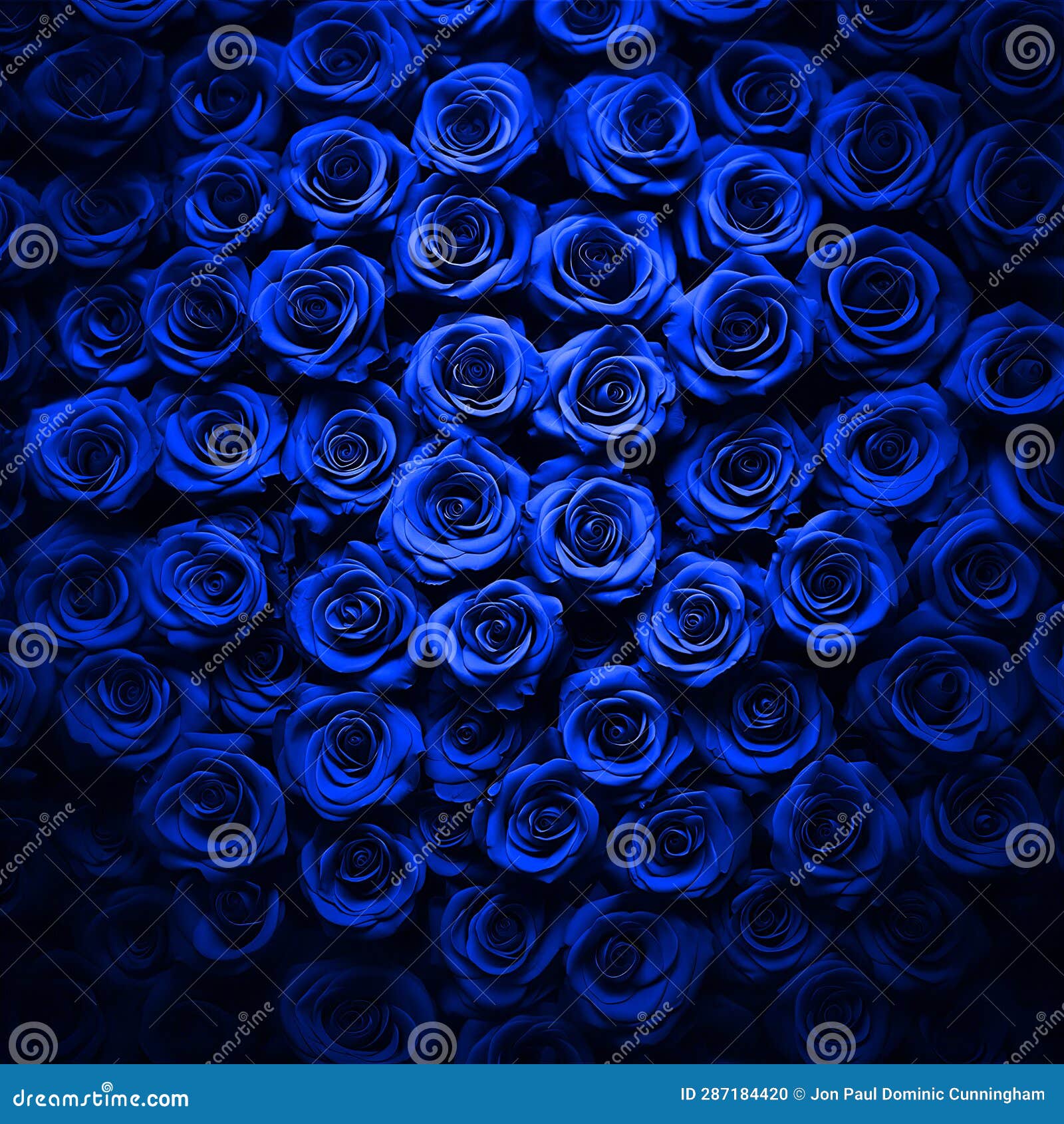 Blue Roses Pattern Background Texture Illustration Stock Illustration