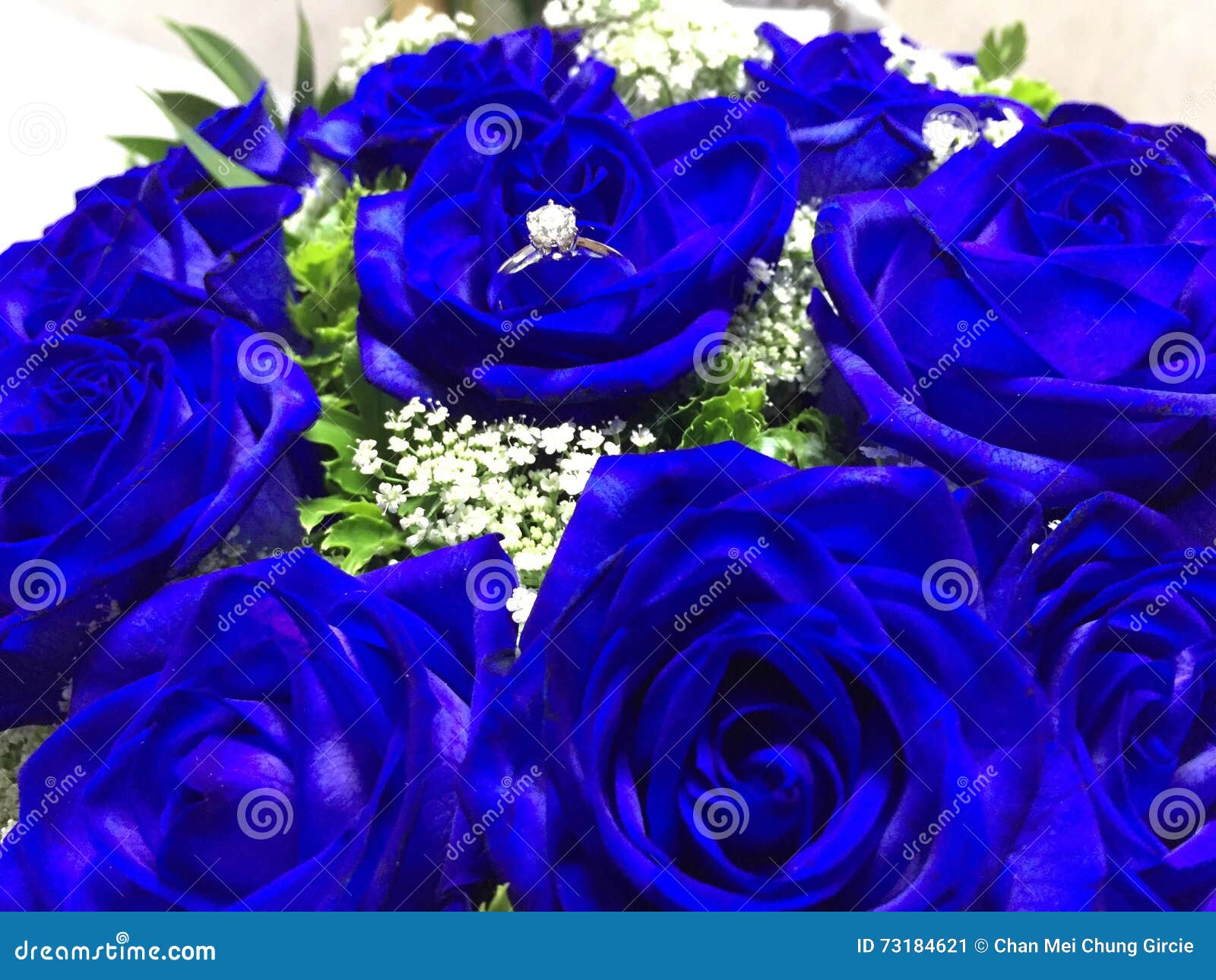 azircounter Real Blue Flowers Near Me List Of 300 Flower Names A To