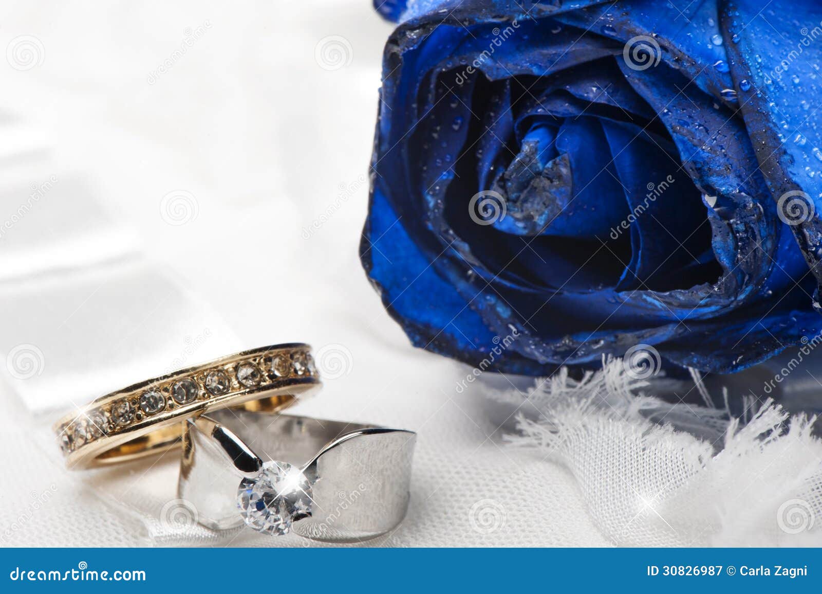 A Blue Roses and Wedding Rings Stock Image Image of engagement