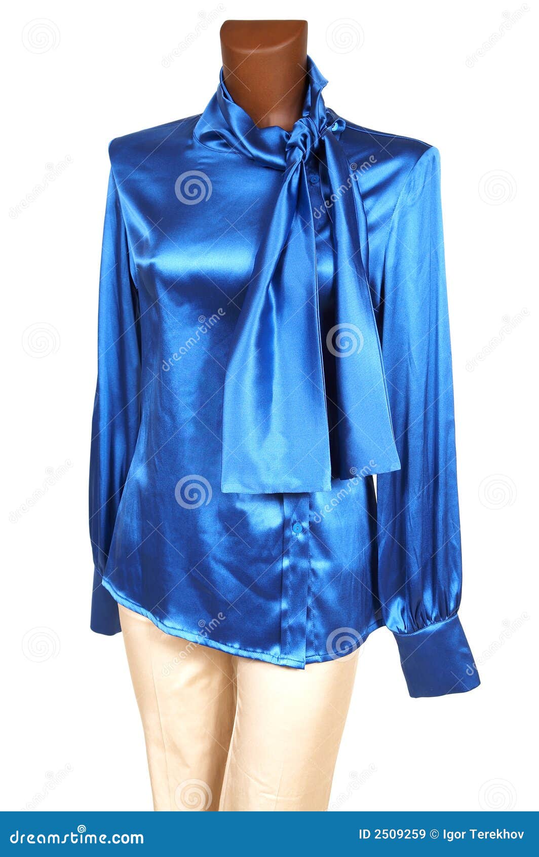 Blue silk blouse stock image. Image of display, shop, pants 2509259