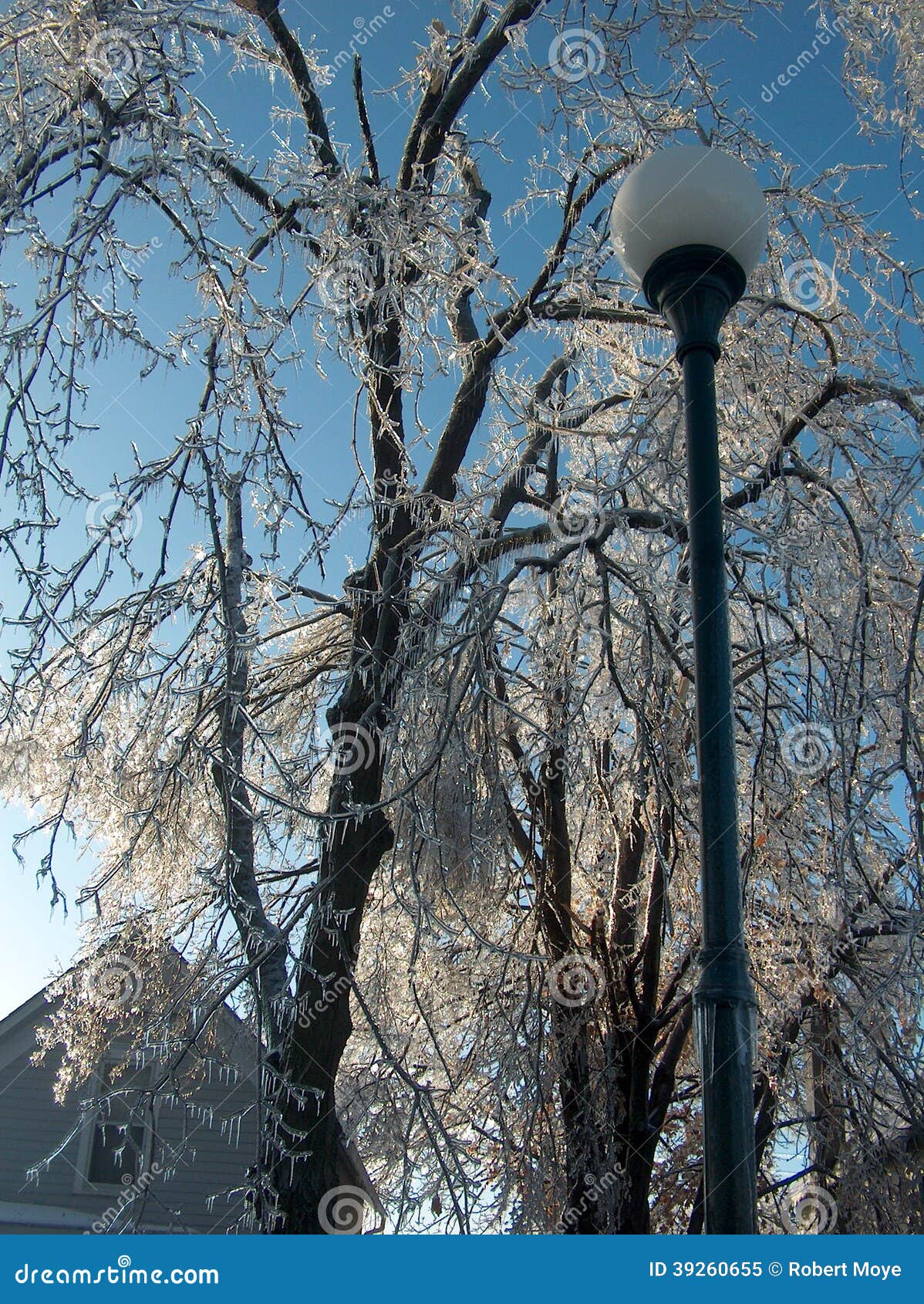 Blue Skies after an Ice Storm Stock Image Image of white, freezing