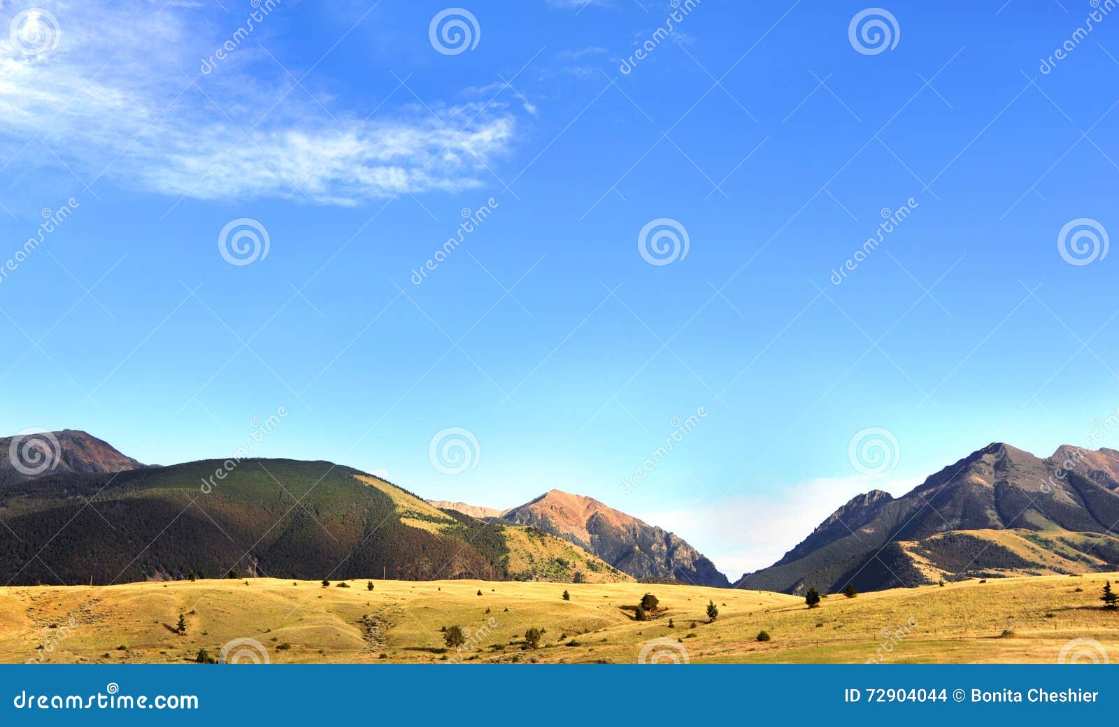 blue sky and absaroka mountains