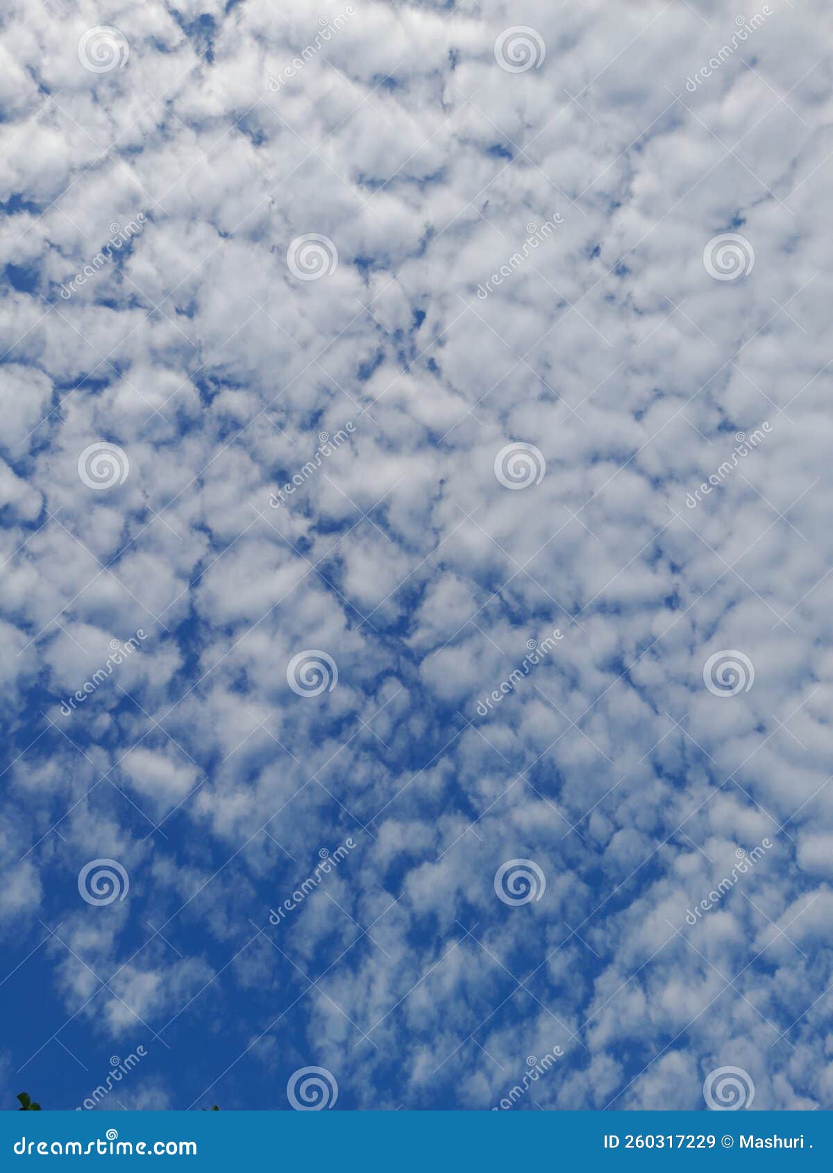 blue sky background with clouds. cirro-cumulus clouds on a blue sky on a sunny day. cirrus sky. spindrift clouds.