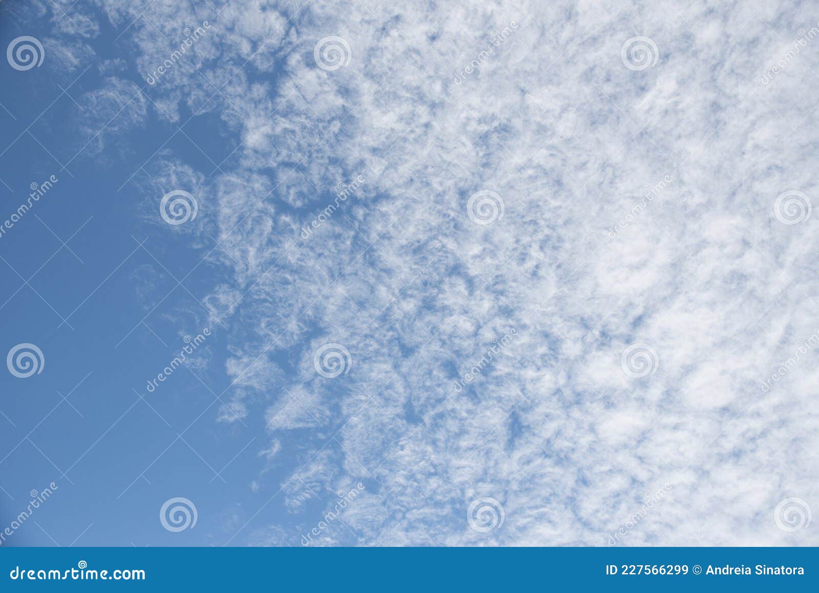 blue sky, fluffy clouds and green leaves tree