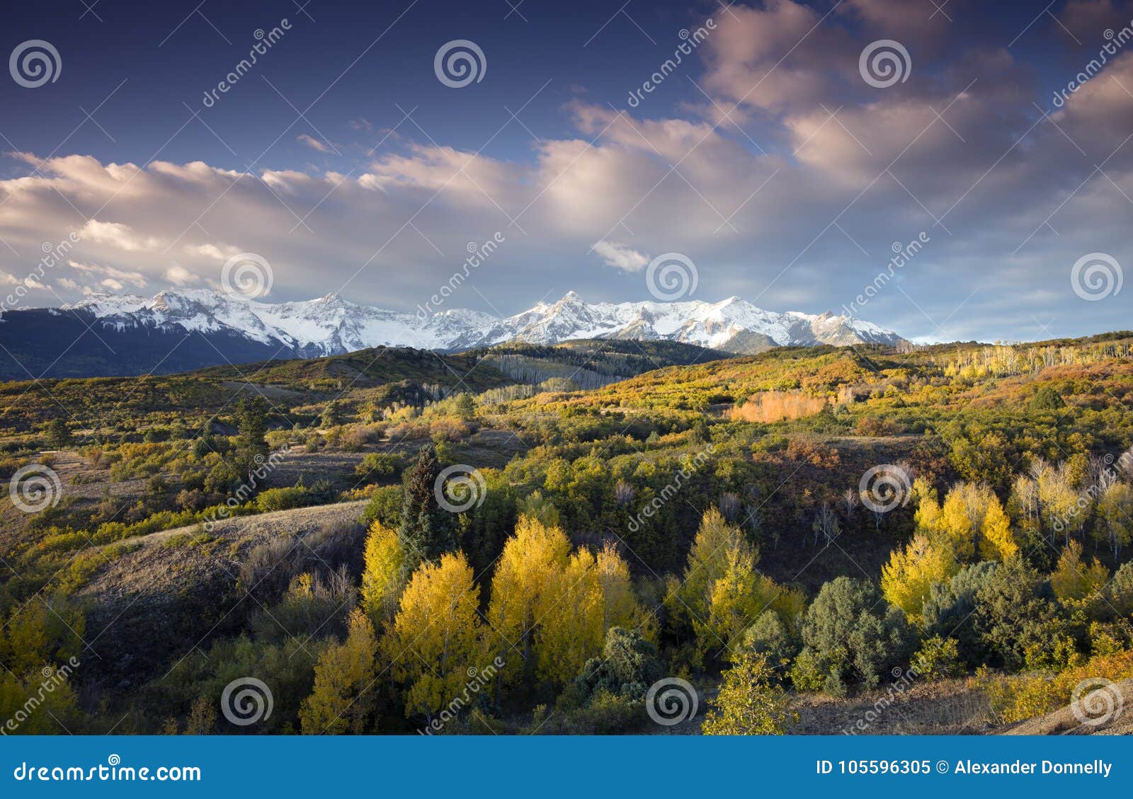 blue sky over san juan mountain range and autumn fall color of the dallas divide ridgway colorado, america