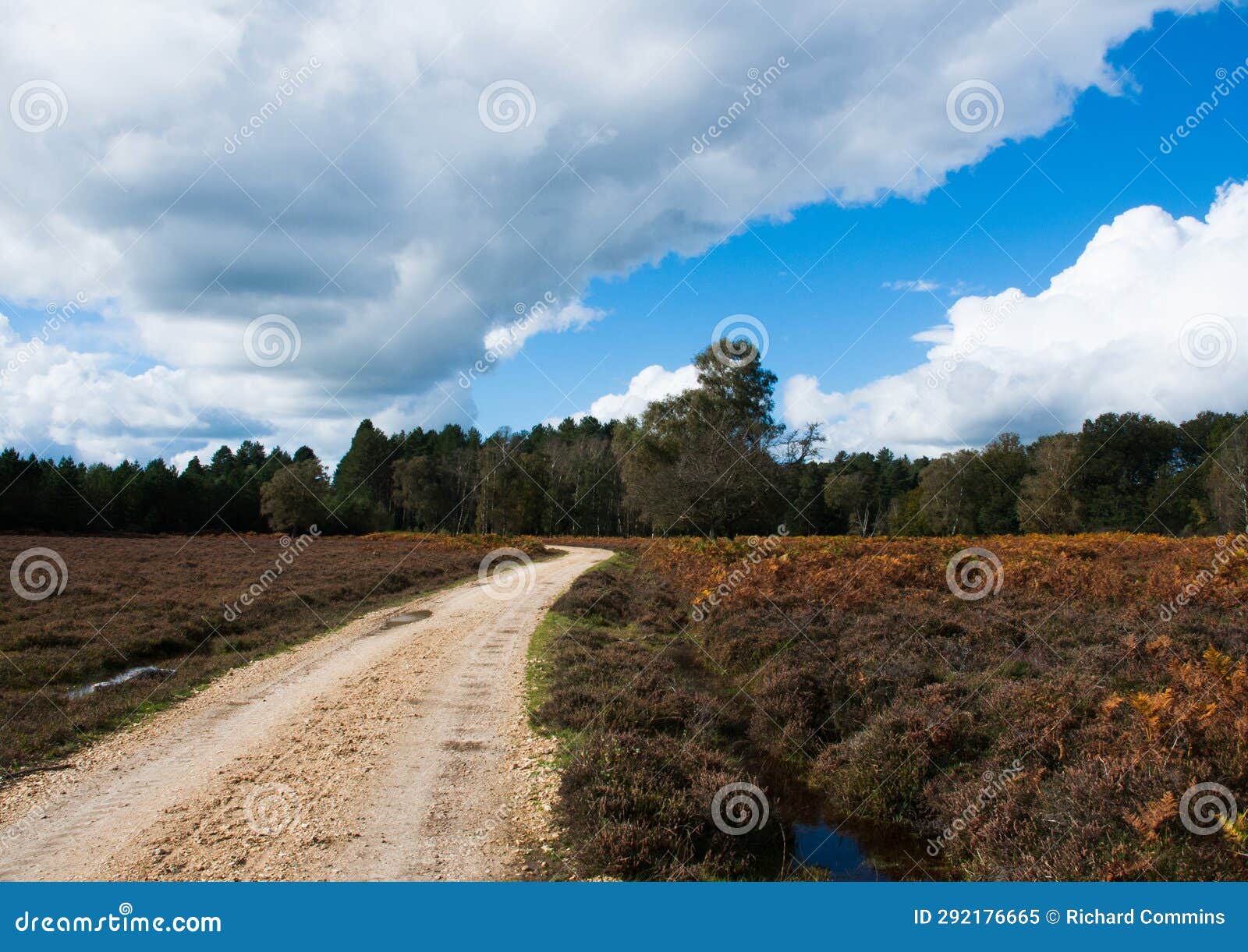 Blue sky thinking stock image. Image of plain, forset 292176665