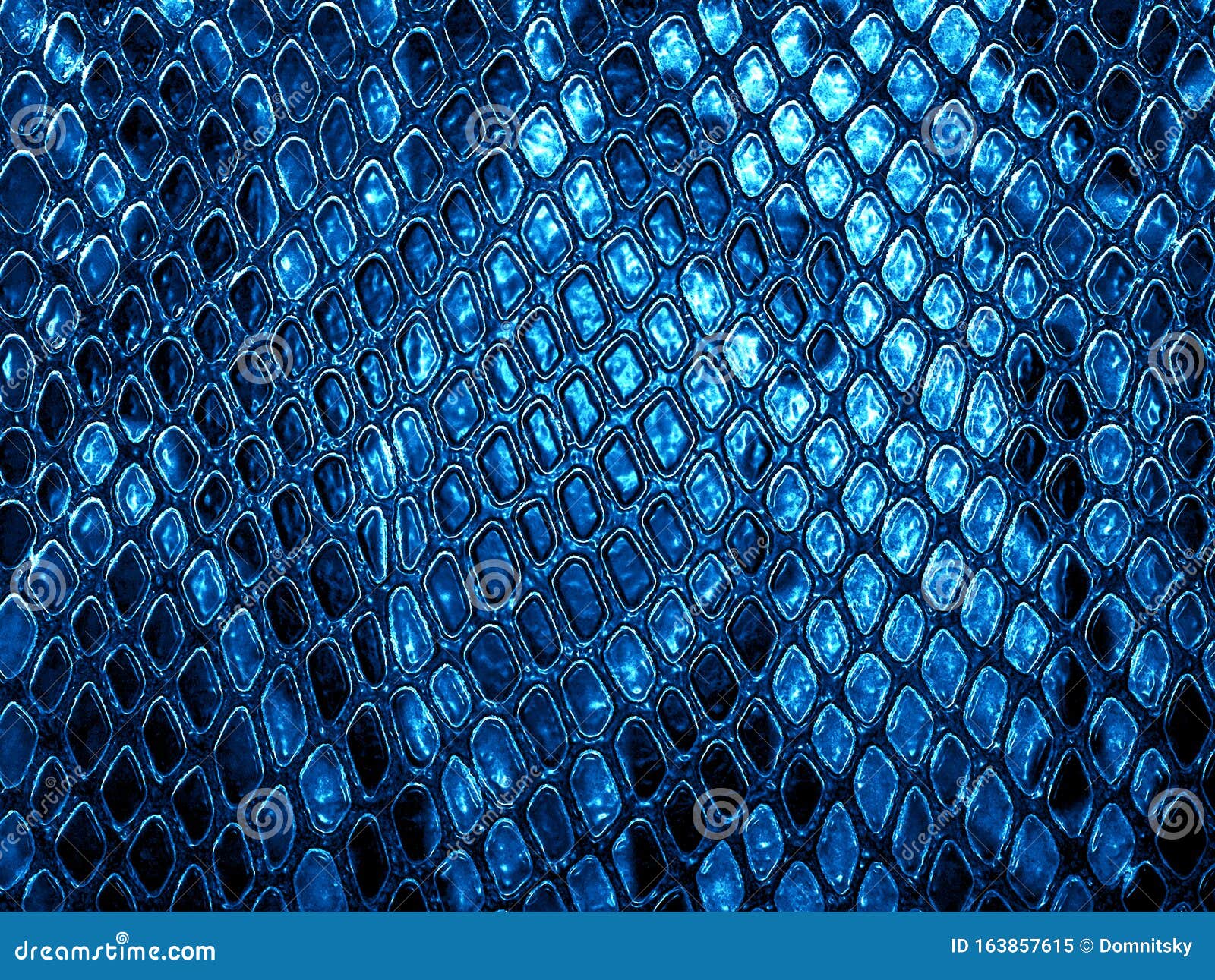 Blue snake skin background stock image. Image of background - 163857615