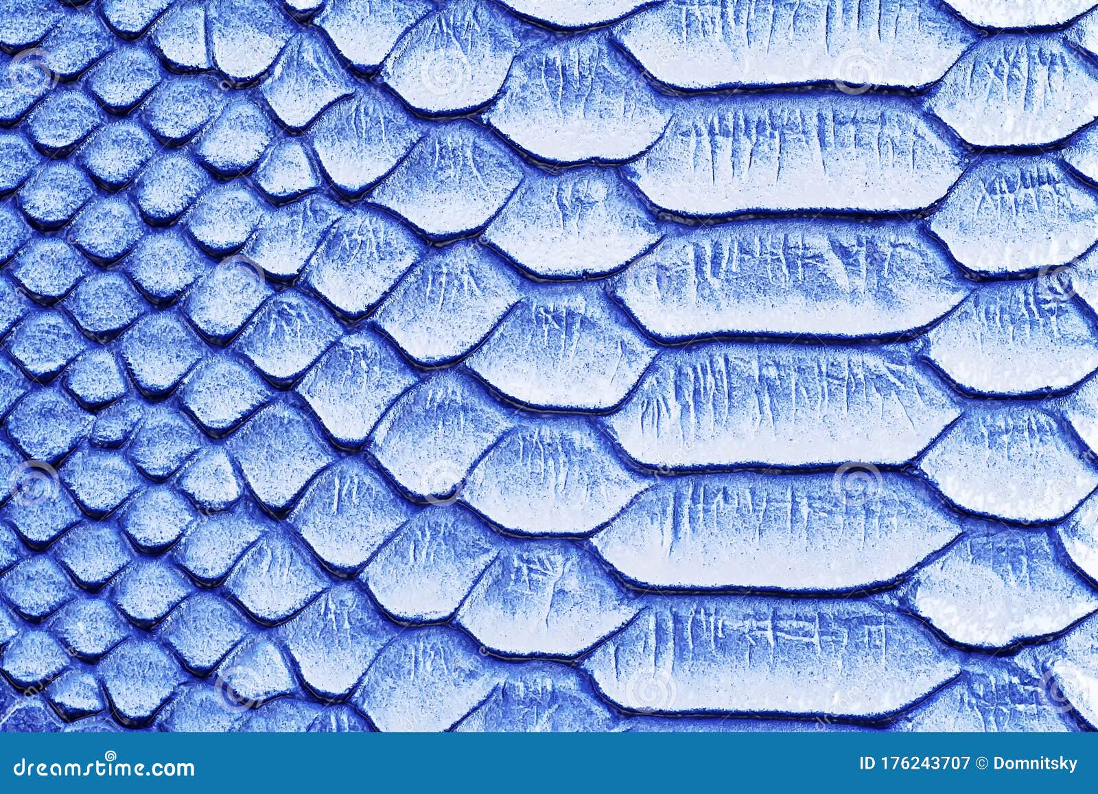 Blue snake skin background stock image. Image of cloth - 176243707