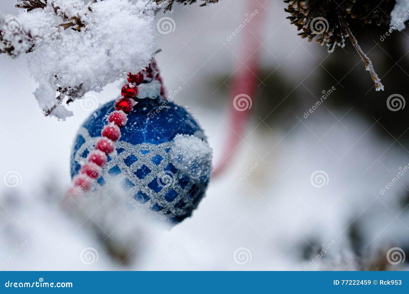 Blue Snow Covered Christmas Ornament Hanging on an Outdoor Tree Stock ...