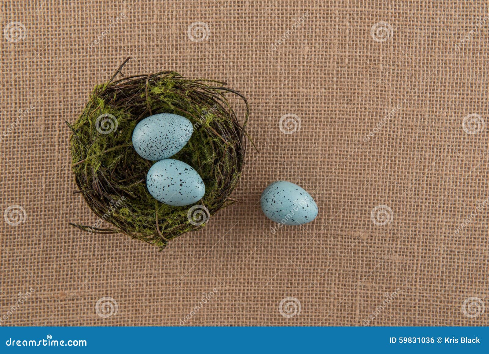 Blue Speckled Eggs and Nest Stock Photo Image of basket, nature 59831036