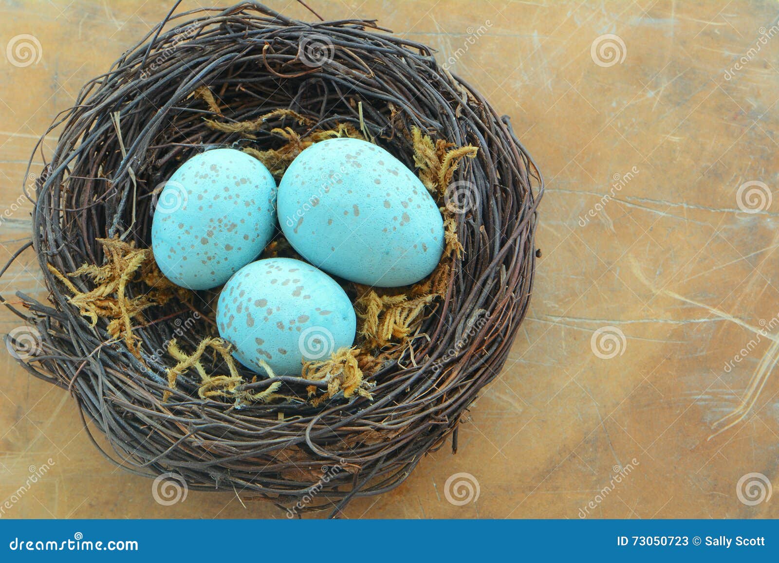Blue speckled egg deals