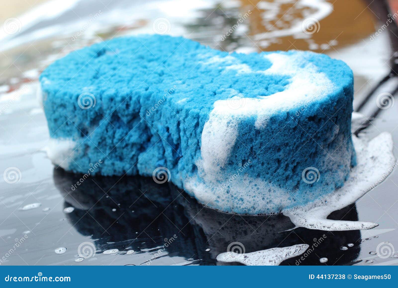 Blue Sponge the Car for Washing Stock Photo Image of business, black