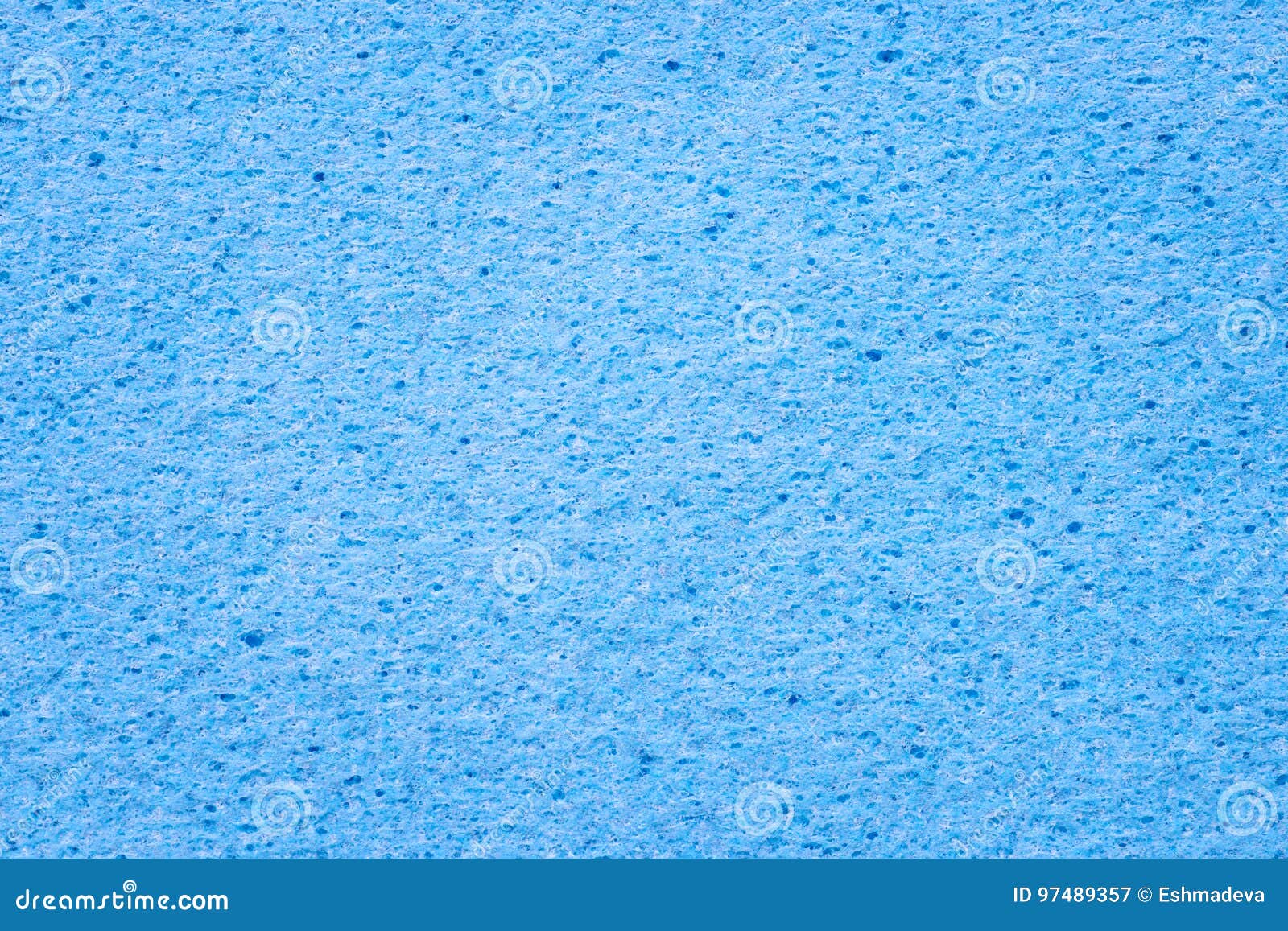 Sea Sponge Close Up. Underwater Photography, Philippines