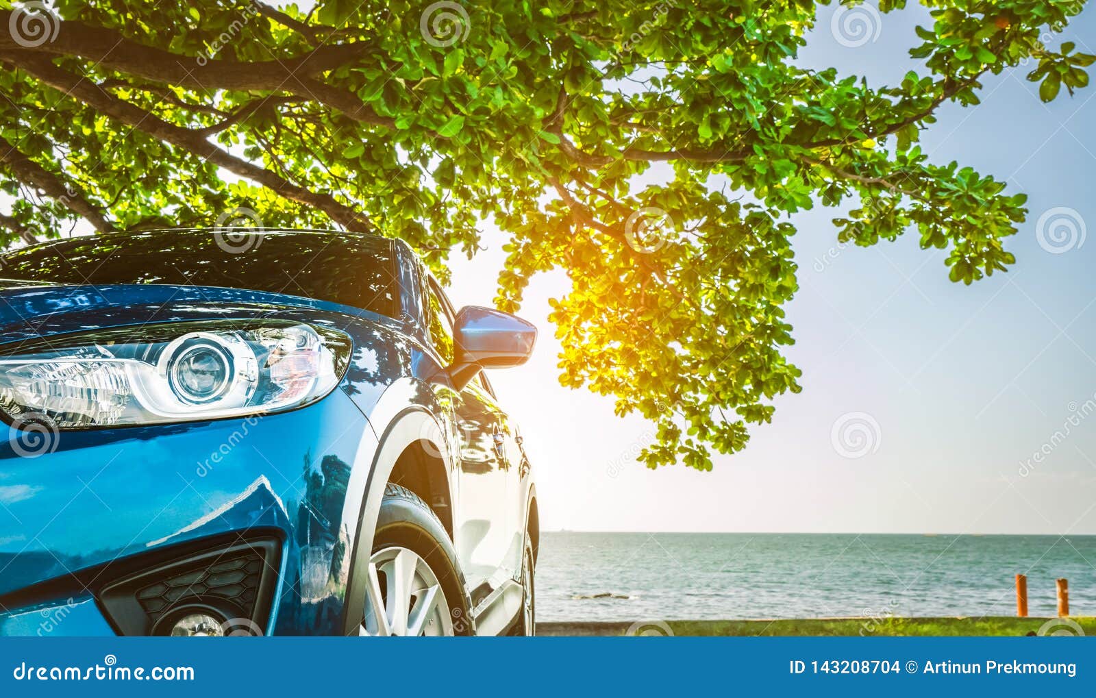 blue sport suv car parked by the tropical sea under umbrella tree. summer vacation at the beach. summer travel by car. road trip.