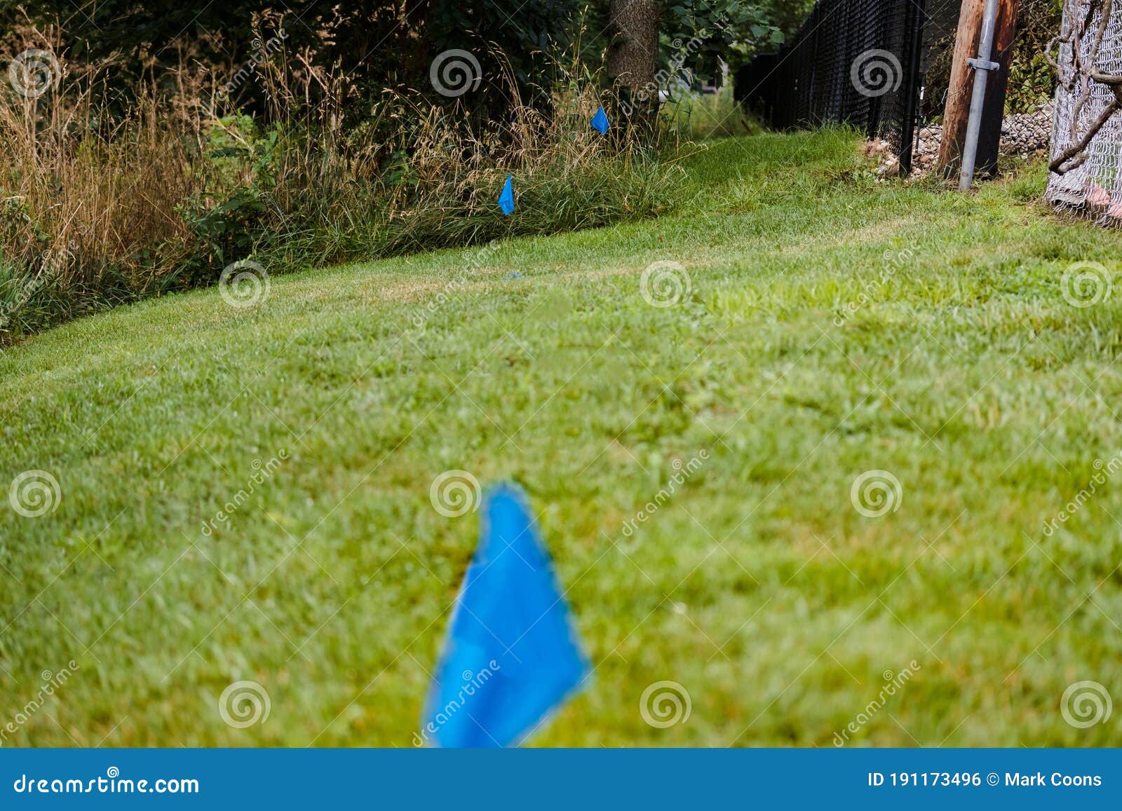 A Blue Surveyors Stake and Flag Marks the Spot Stock Photo Image of