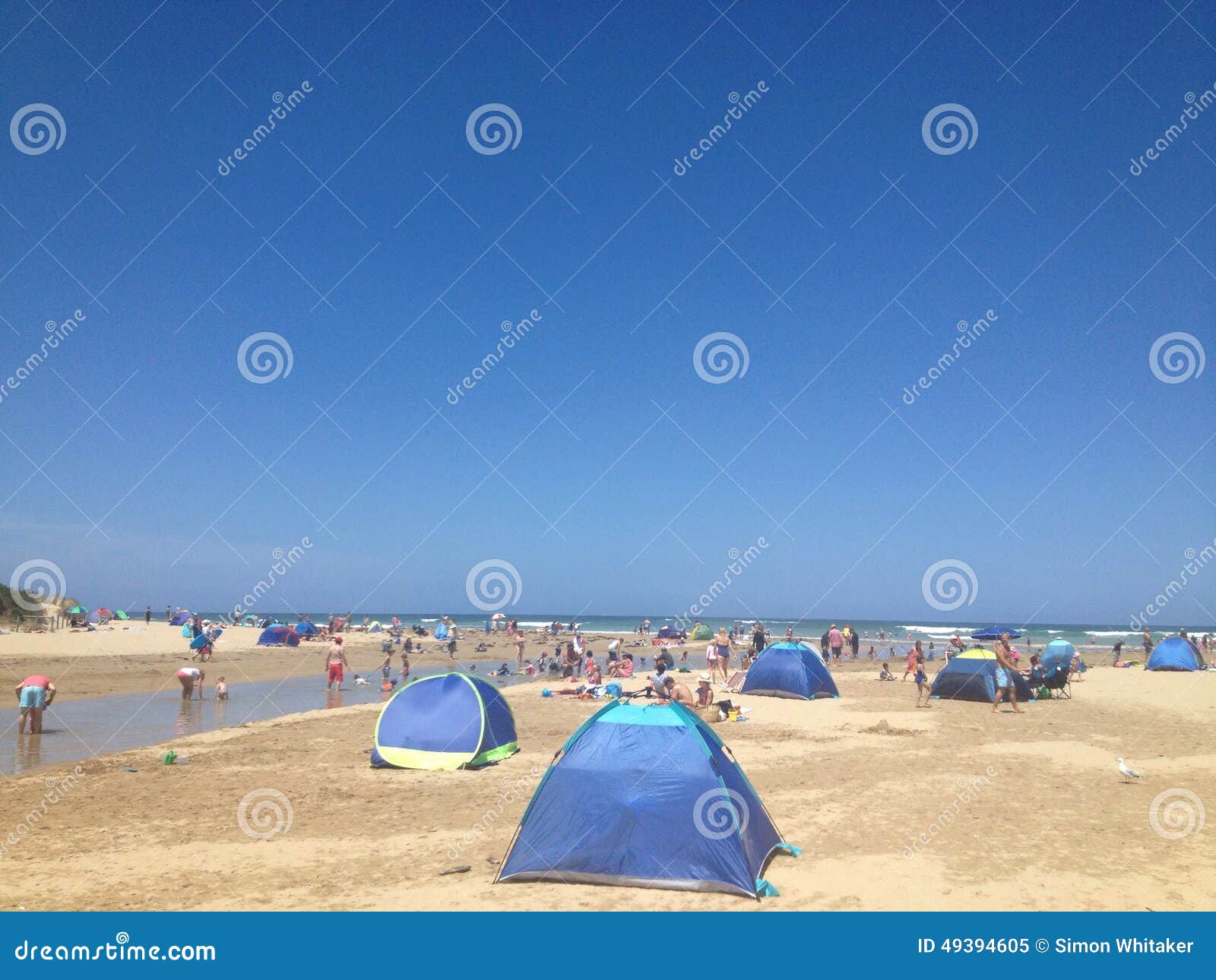 Blue Tents editorial image. Image of beach, ocean, shelter 49394605