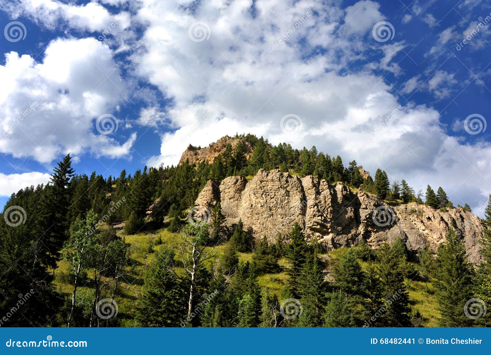 blue tops absaroka mountains