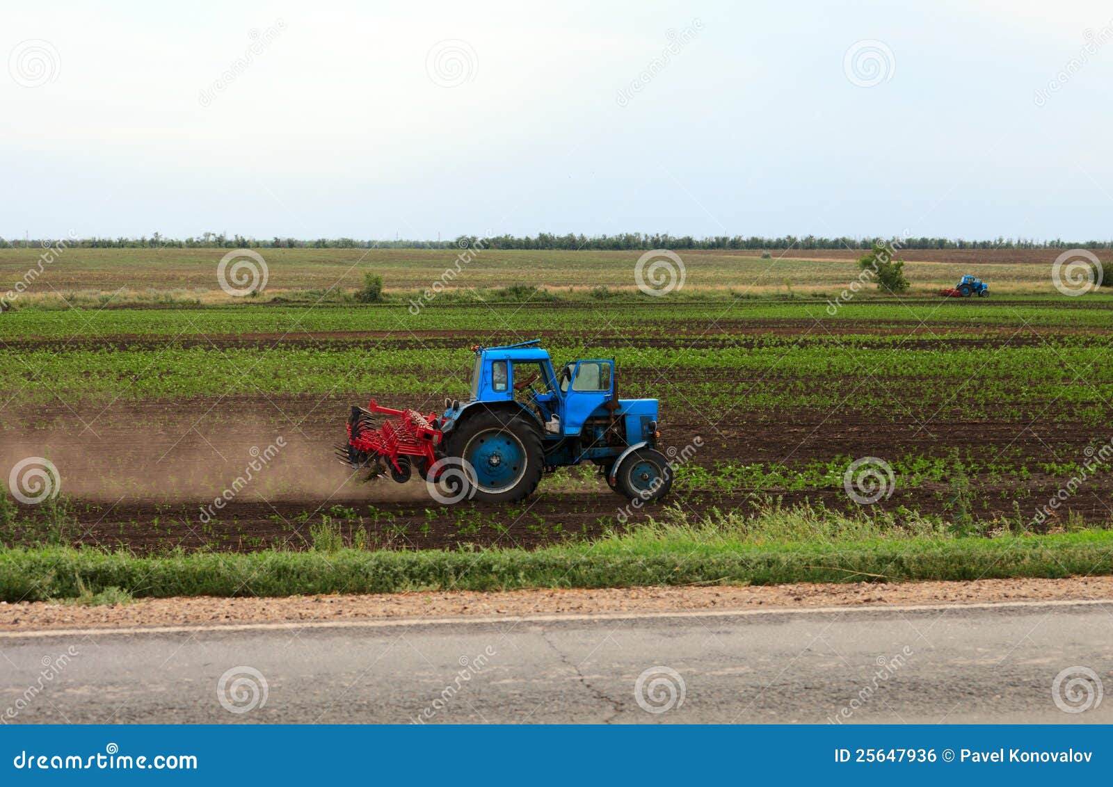 Blue tractor on a field stock photo. Image of green, natural 25647936