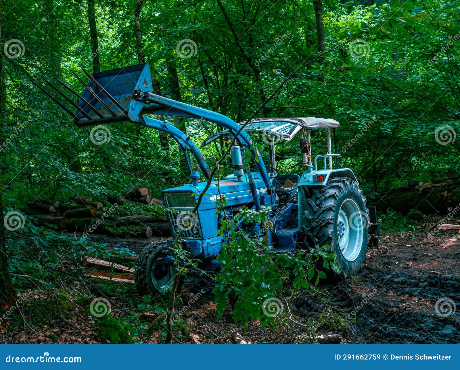 A Blue Tractor Stands in the Forest Stock Image Image of machine