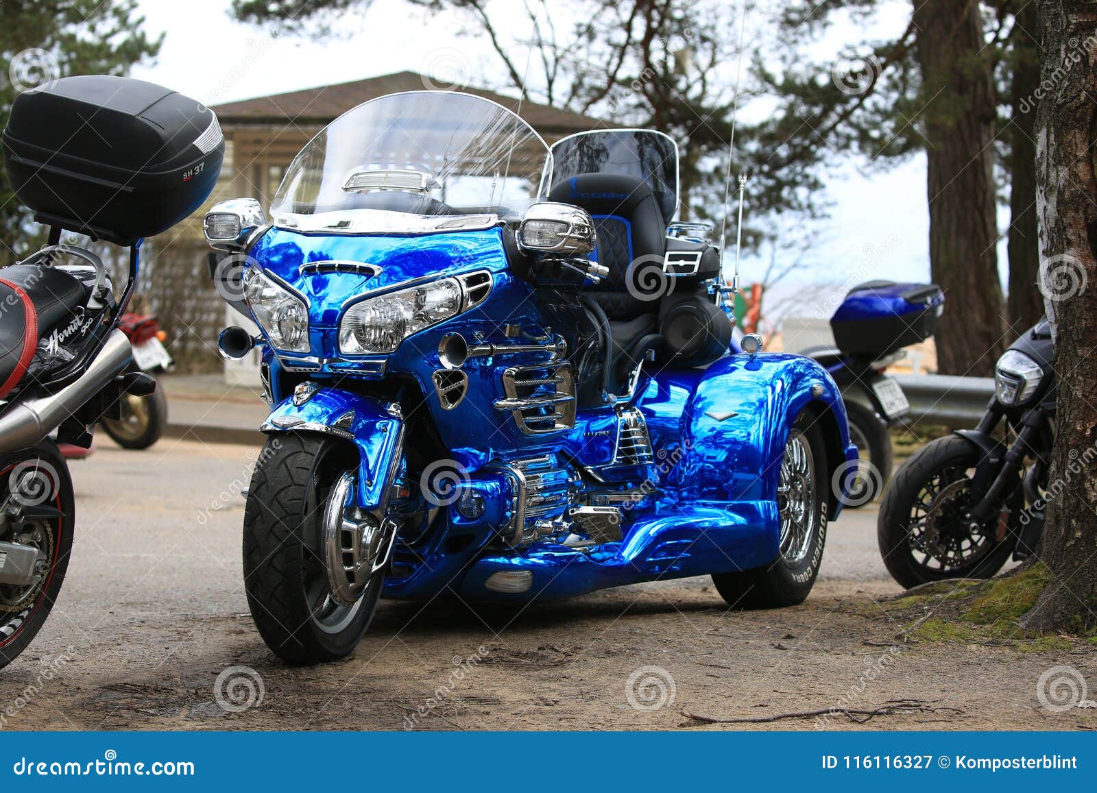 Blue Tricycle Honda 1800 Gold Wing in Nature. Front View Editorial ...