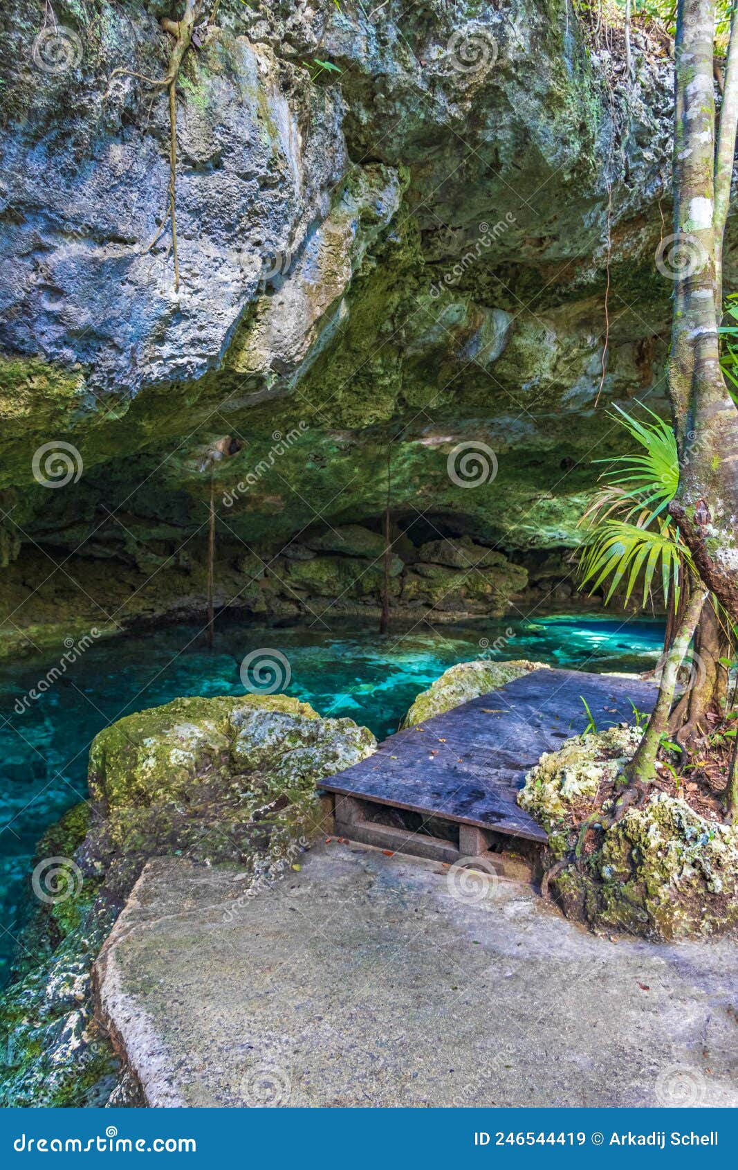 https://thumbs.dreamstime.com/z/blue-turquoise-water-limestone-cave-sinkhole-cenote-tajma-ha-mexico-amazing-tajmaha-puerto-aventuras-quintana-roo-246544419.jpg