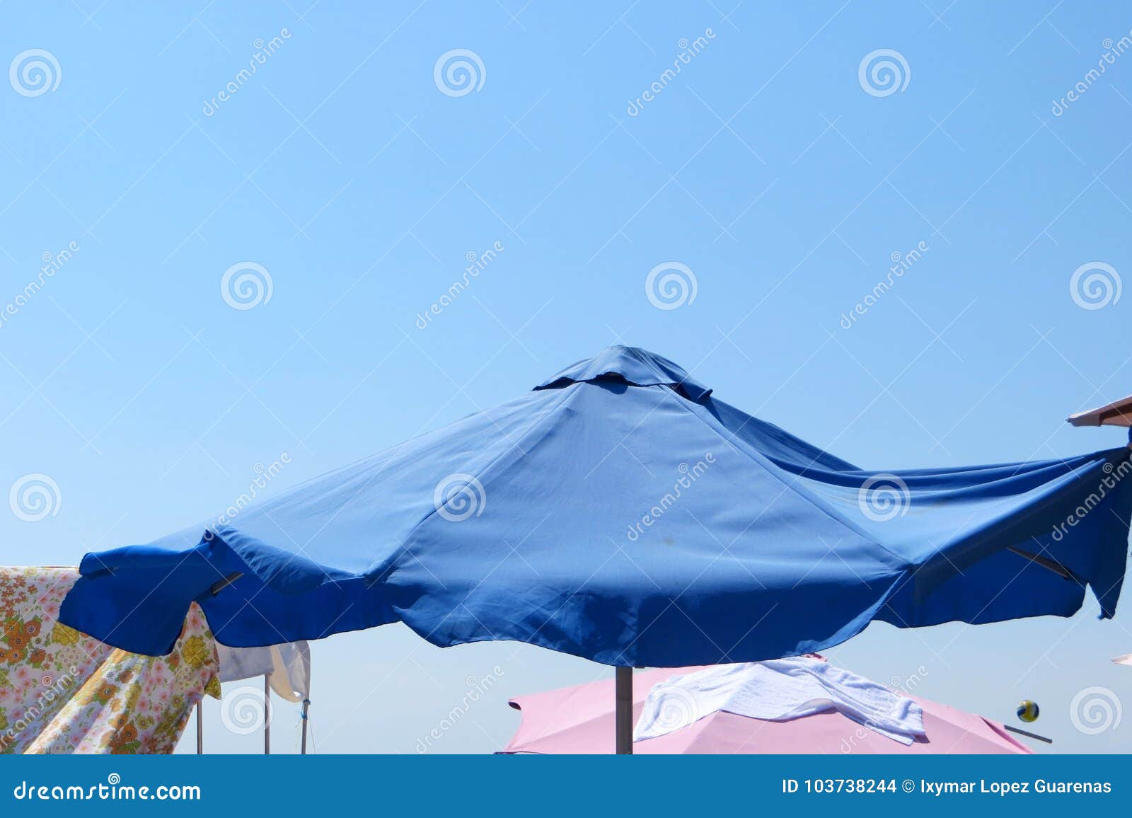 blue umbrella in a sunny beach day