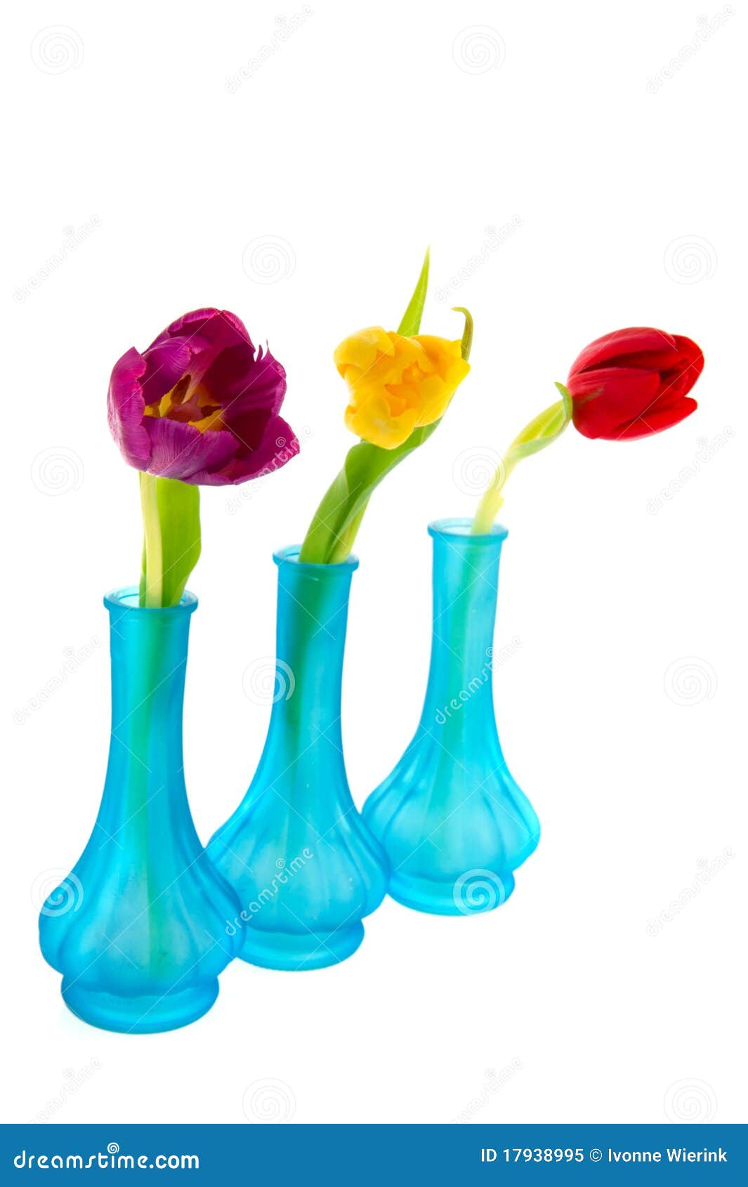 Blue Vases with Colorful Tulips Stock Image Image of colorful