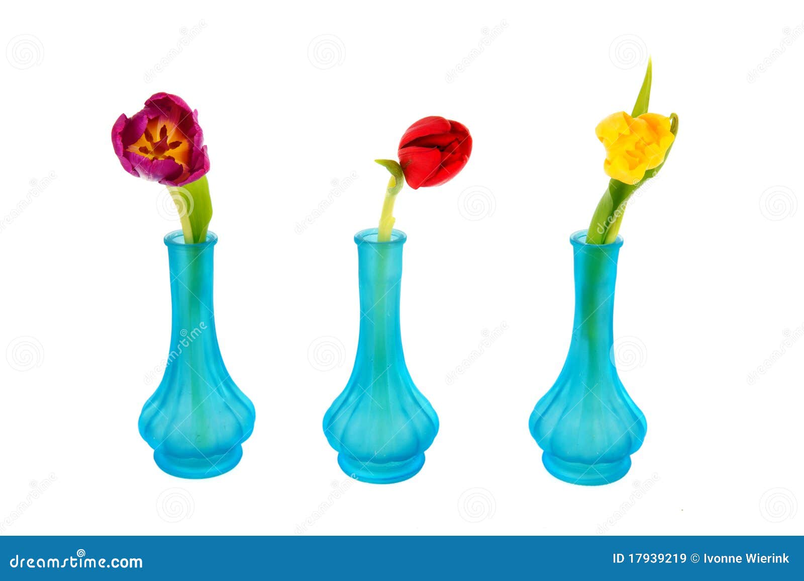Blue Vases with Colorful Tulips Stock Image Image of colorful
