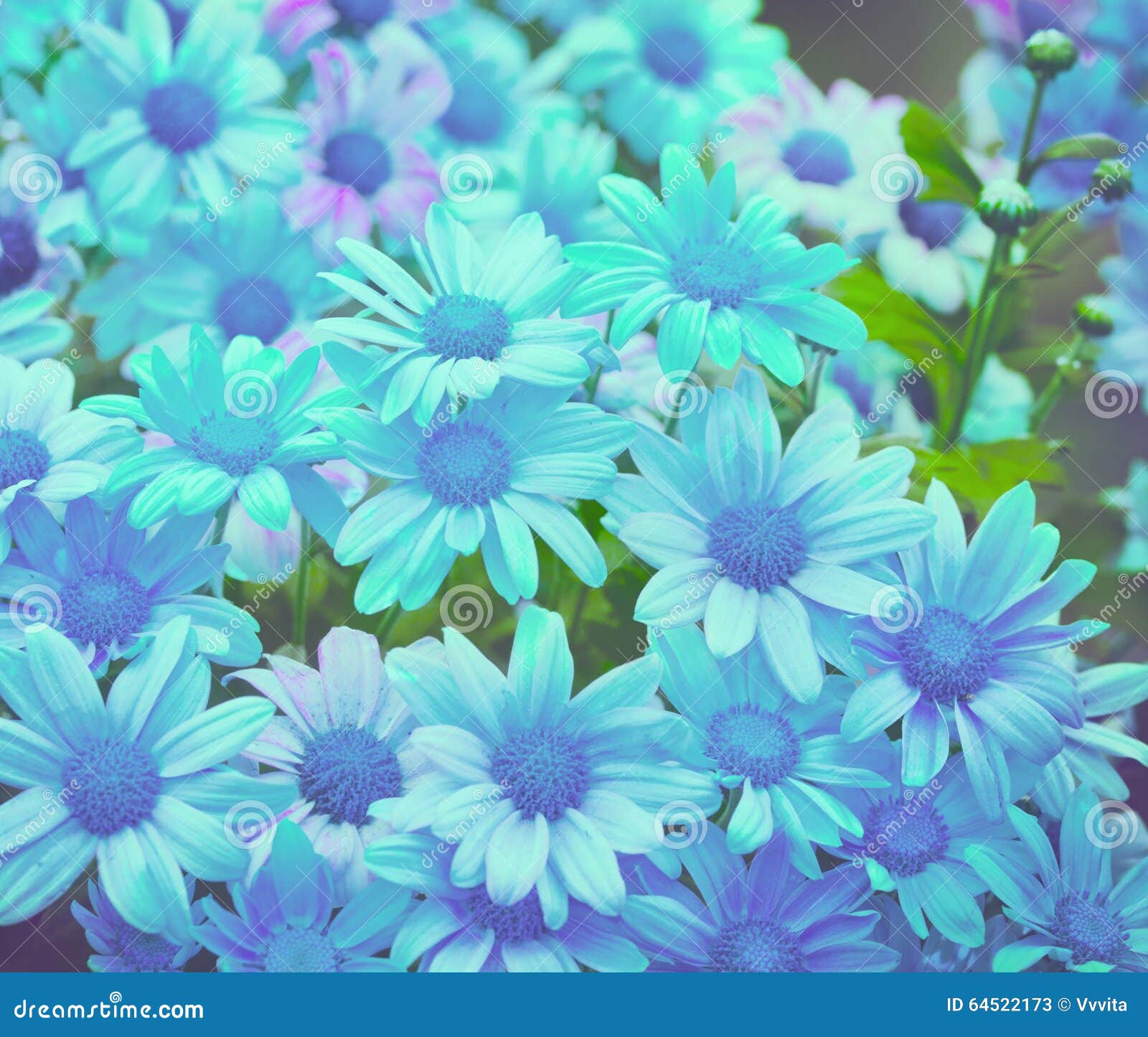 Blue Vintage Floral Background Stock Image Image of season, closeup 64522173