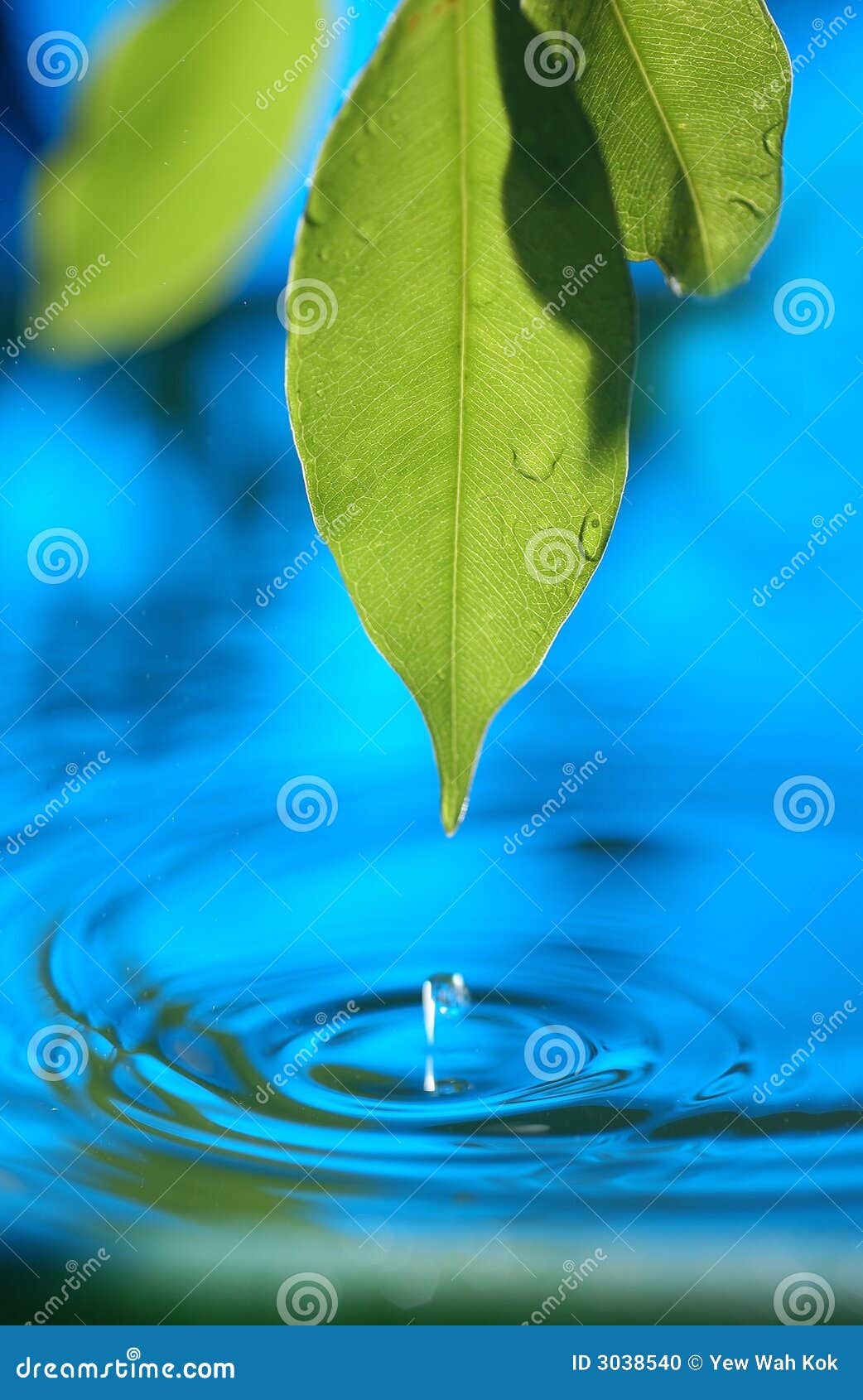 6,440,701 Blue Water Stock Photos - Free & Royalty-Free Stock Photos from  Dreamstime