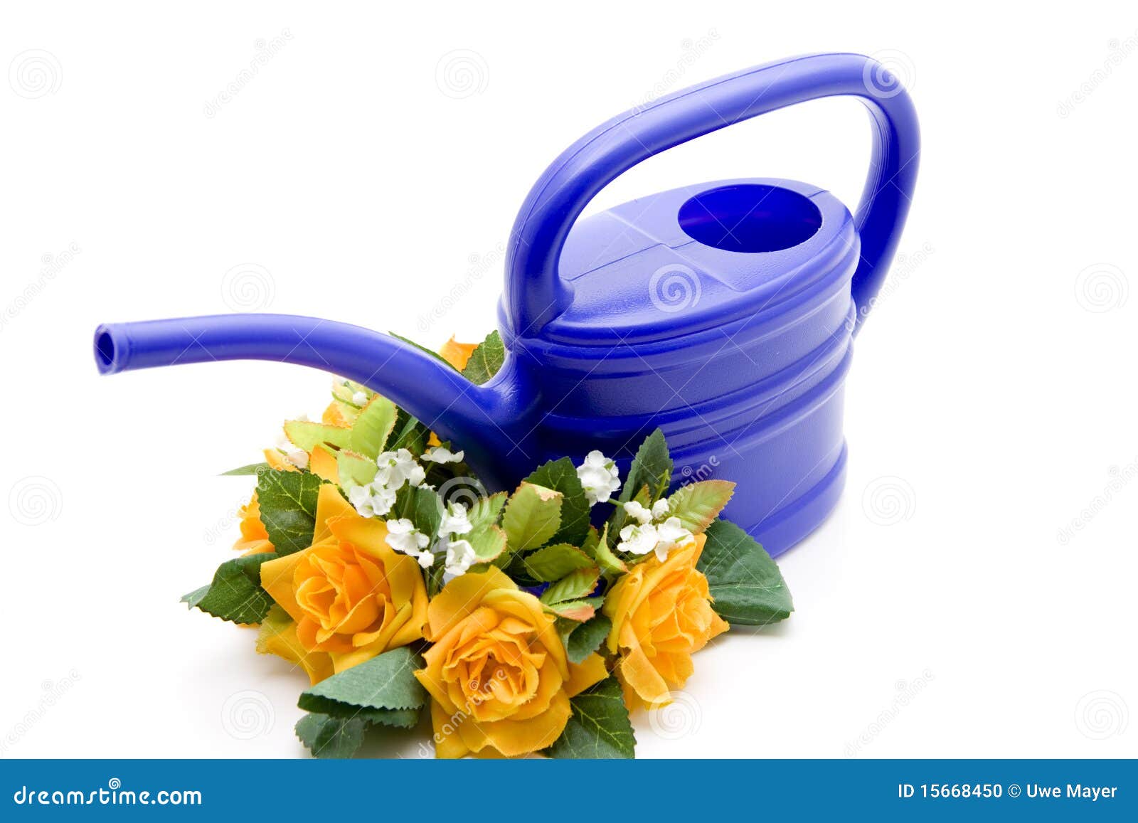 Blue watering can stock photo. Image of watering, bunch 15668450
