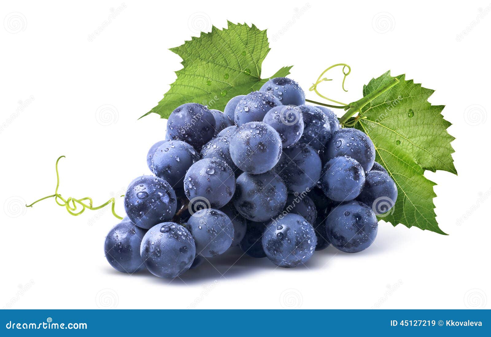 blue wet grapes bunch on white background