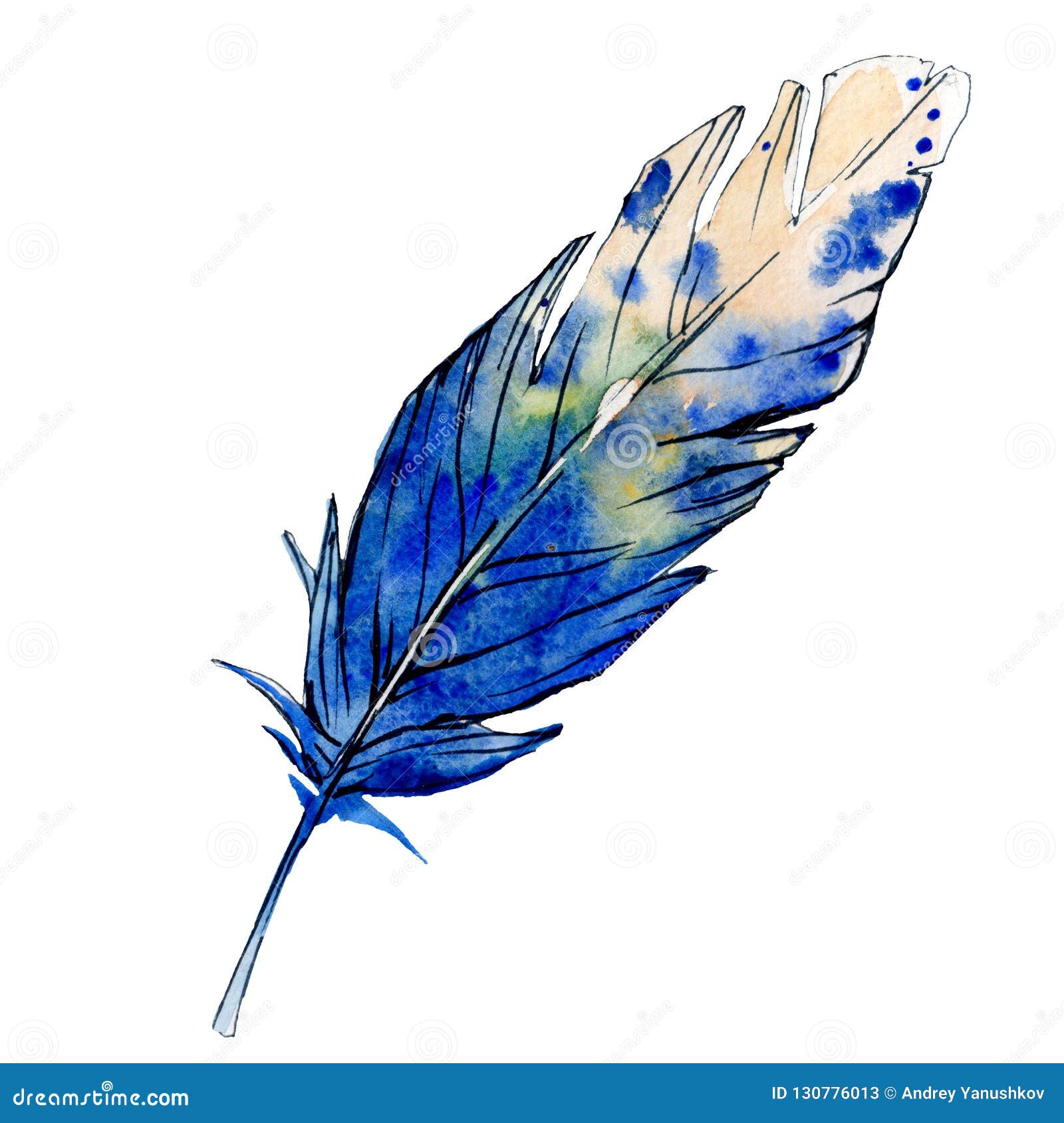 blue white feater. watercolor bird feather from wing . aquarelle feather for texture. background set.