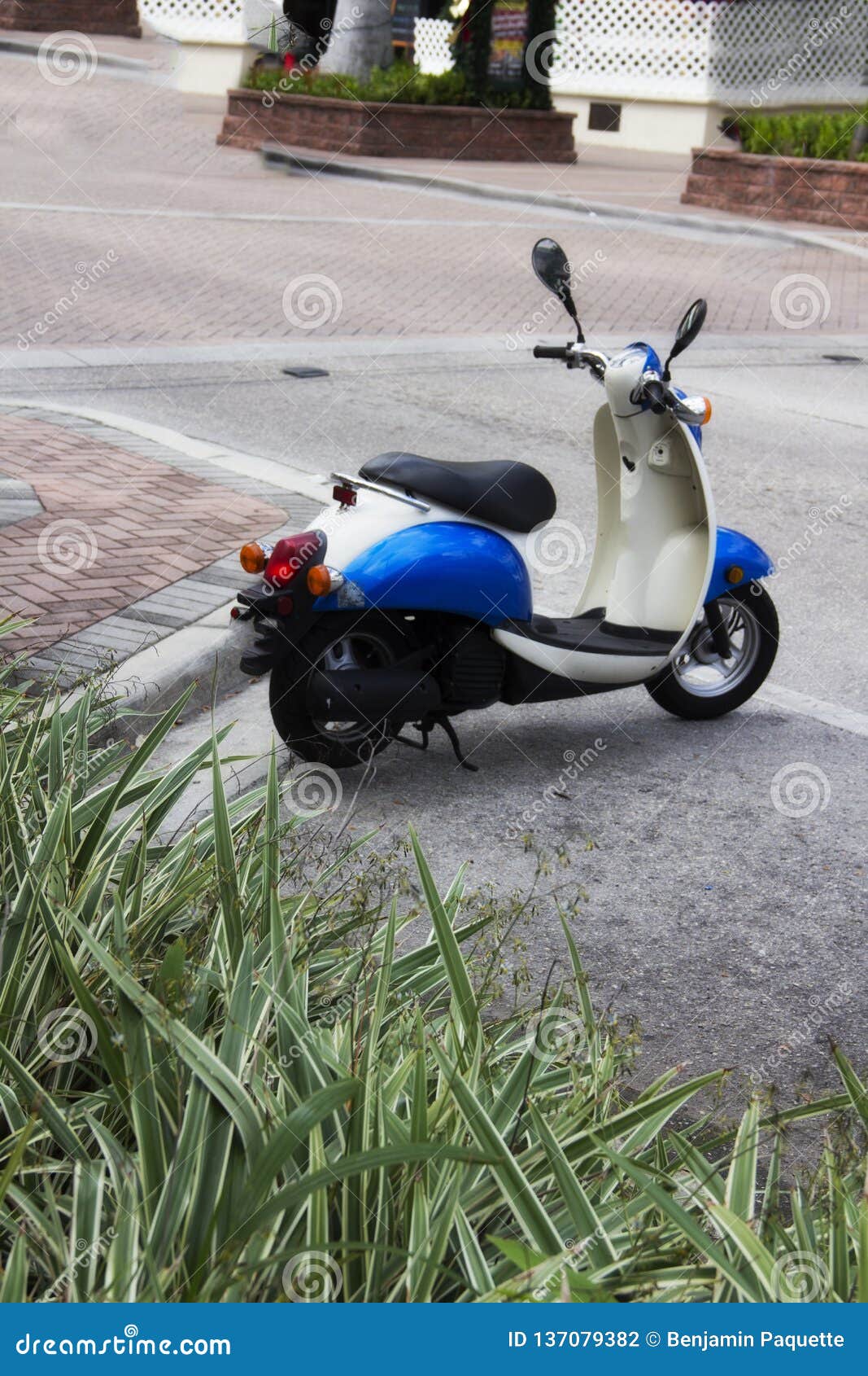 Blue and White Scooter in Naples Florida Stock Photo Image of ride