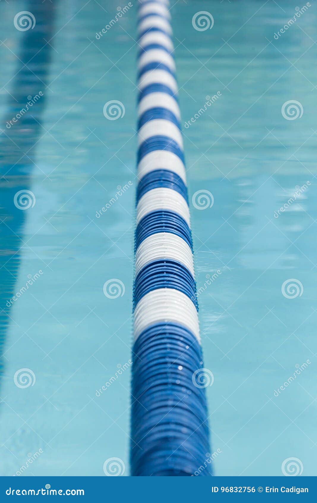 Lane Lines Of A Swimming Pool RoyaltyFree Stock Photo CartoonDealer