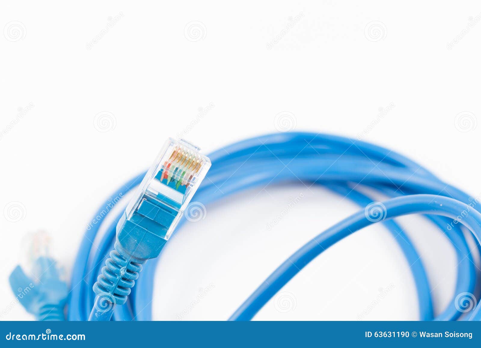 Blue Wired LAN Cable on White Stock Photo Image of computer, closeup