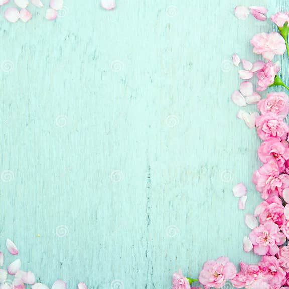 Blue Wooden Background with Pink Flowers Stock Image - Image of nature ...