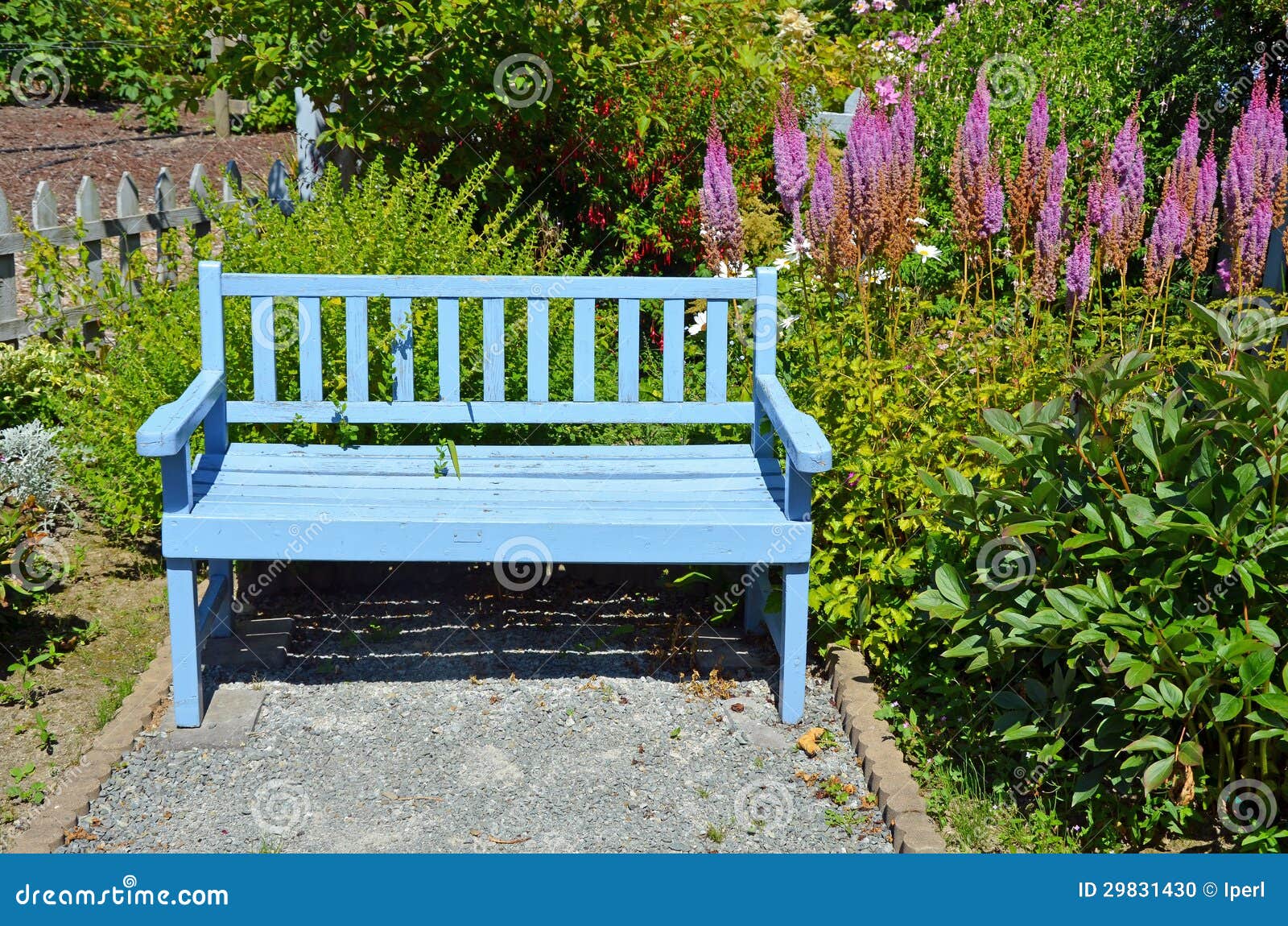 blue wooden bench summer garden 29831430