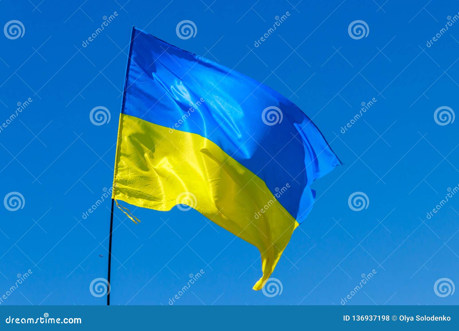 Blueyellow Flag of Ukraine Stock Photo Image of european, flag