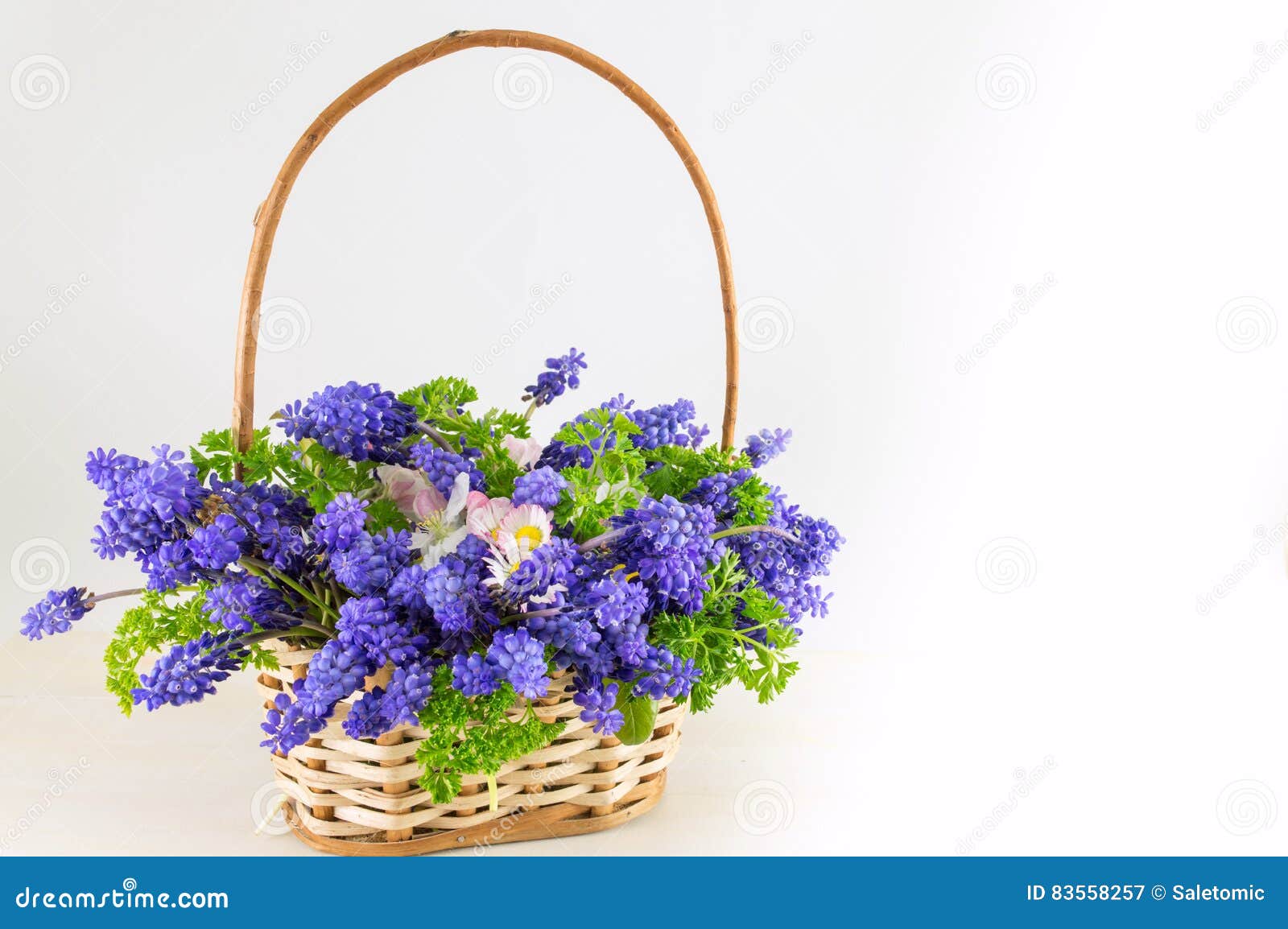 Bluebell Flowers Bouquet in Wicker Basket Stock Image Image of
