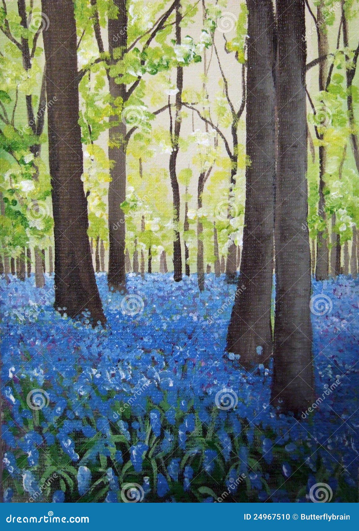 bluebell woods