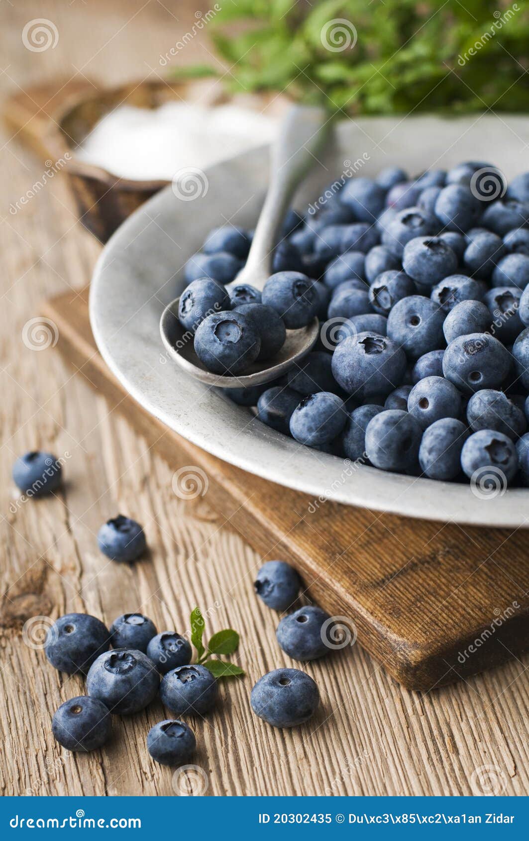 Blueberries stock image. Image of blueberries, spoon 20302435
