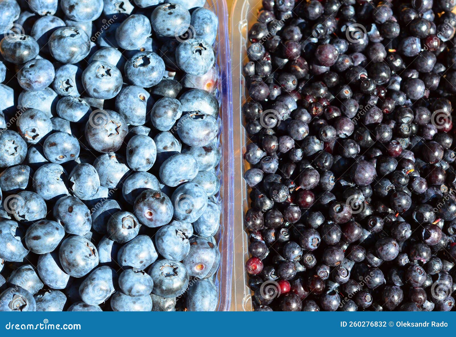 Blueberries and Bilberries in a Boxes. Bilberries are Smaller and