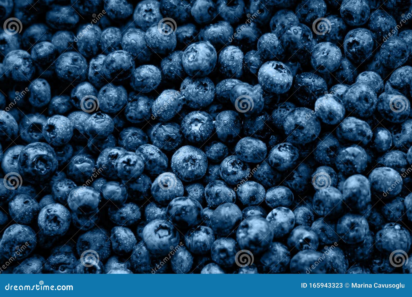 Blueberries Blue Background Stock Image Image of bilberry, color