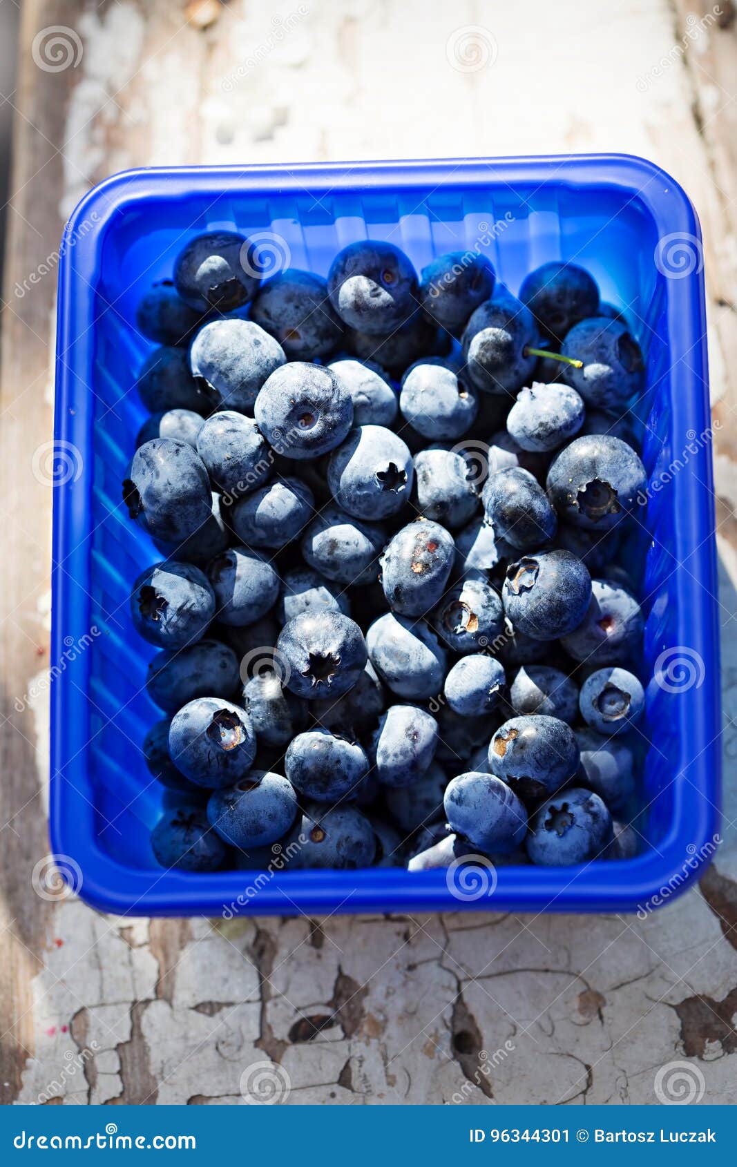 Blueberries in Blue Container Stock Image Image of blue, berry 96344301