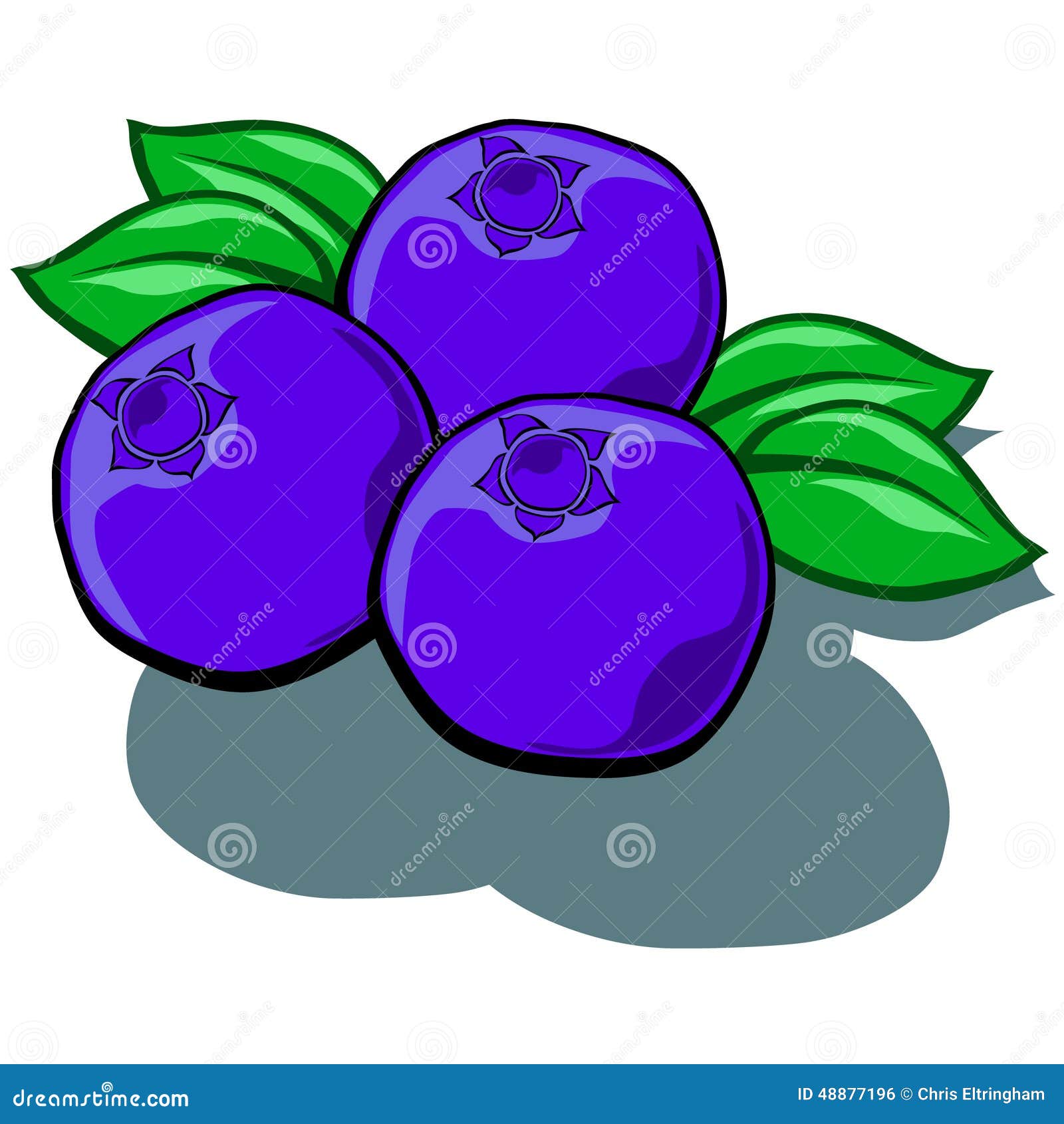 Blueberries Cartoons, Illustrations & Vector Stock Images 2428